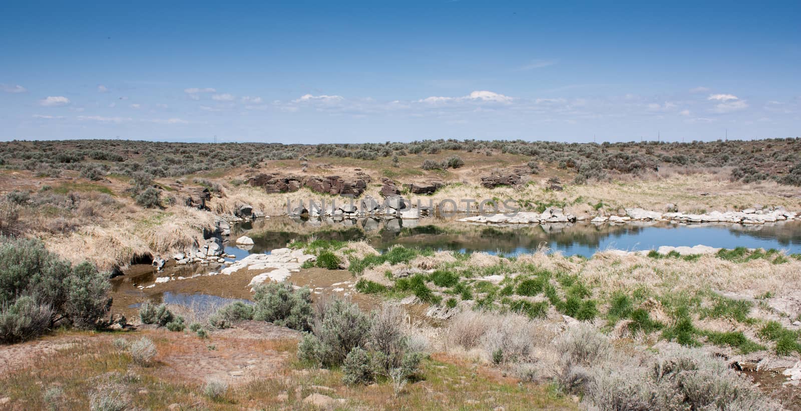 Rocky desert lake shore with grass and blue sky