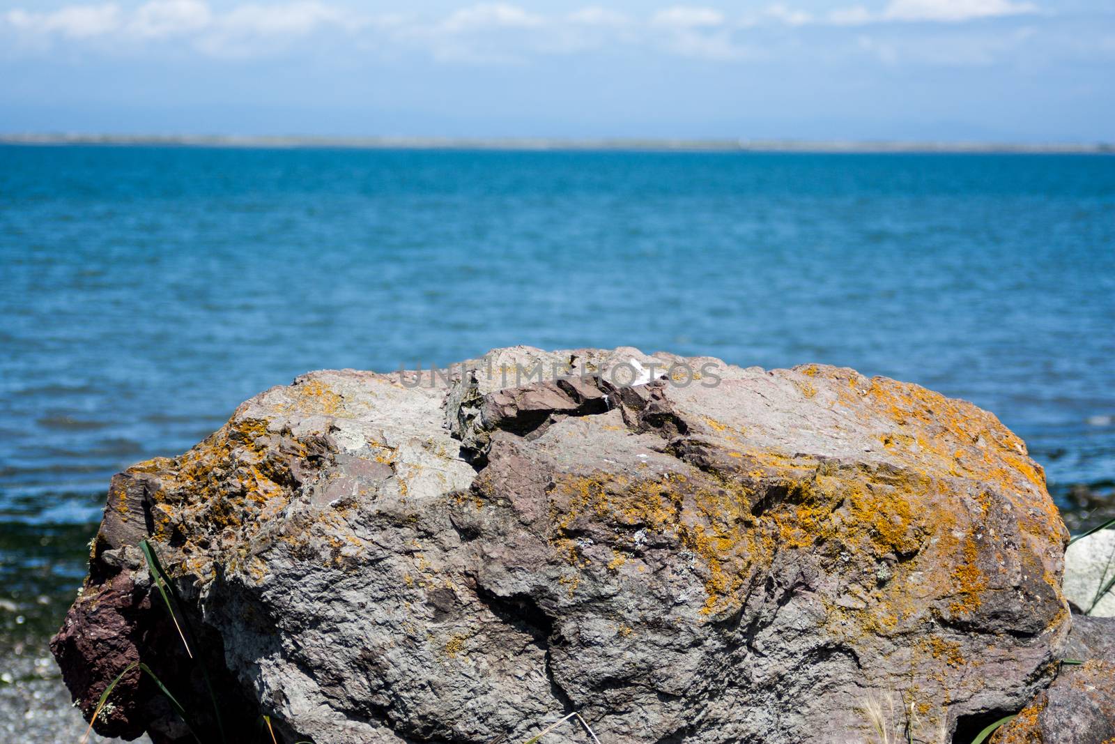 Moss covered rough boulder with ocean behind