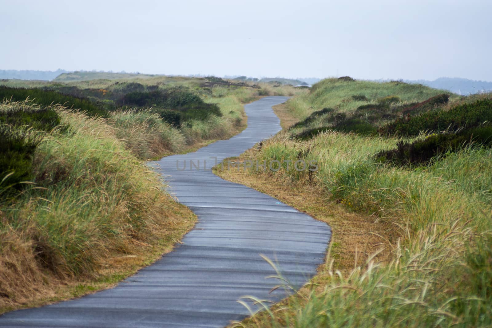 Paved beach trail leading to a sandy beach by experiencesnw