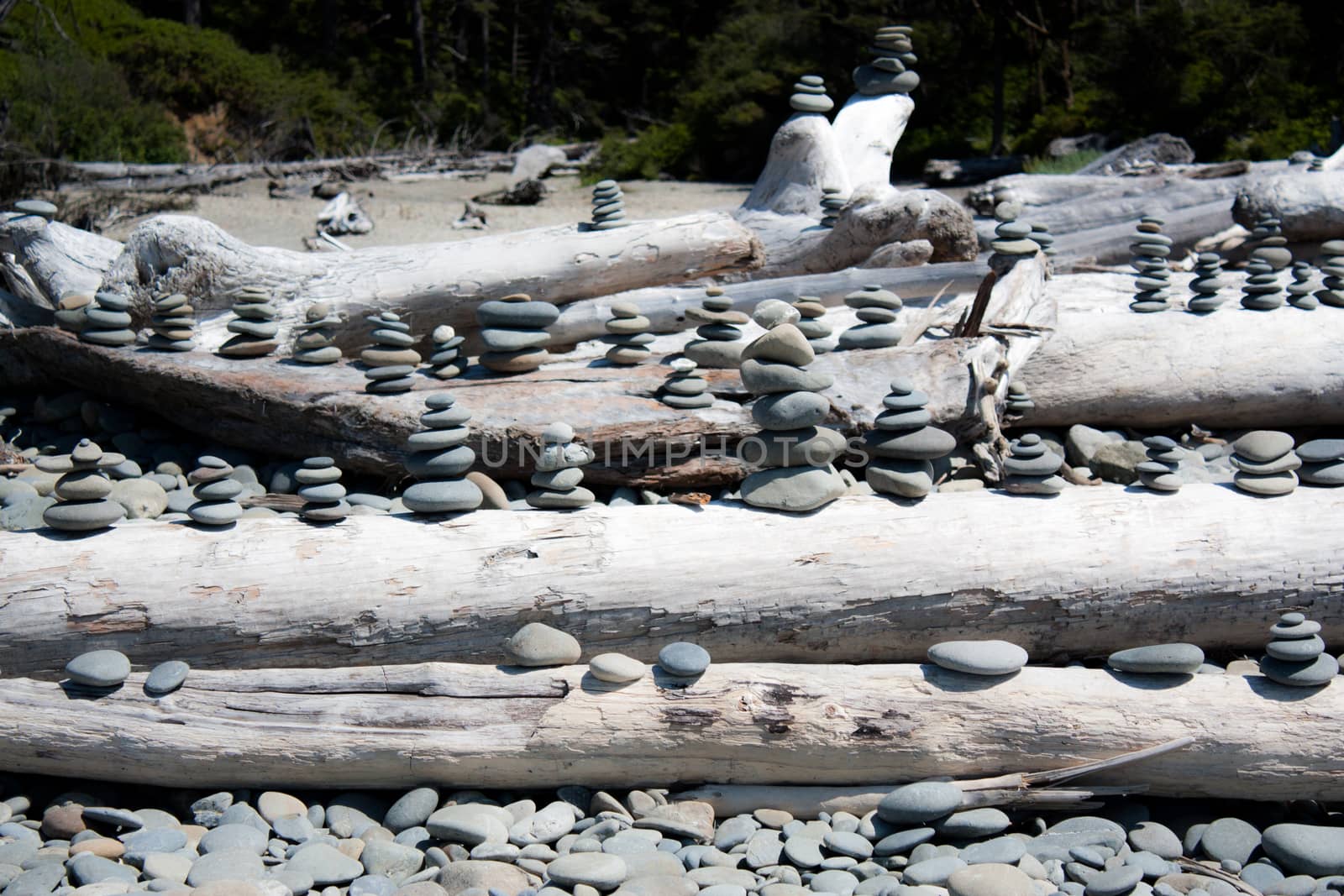 Flat stones in stacks on driftwood logs by experiencesnw