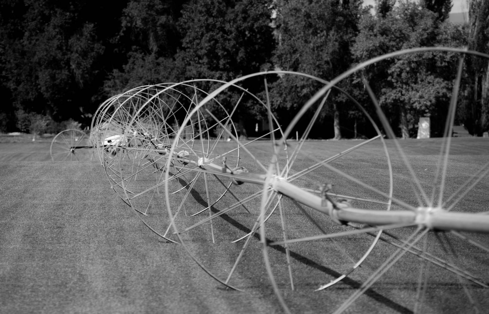 Golf course irrigation wheels in black and white by experiencesnw