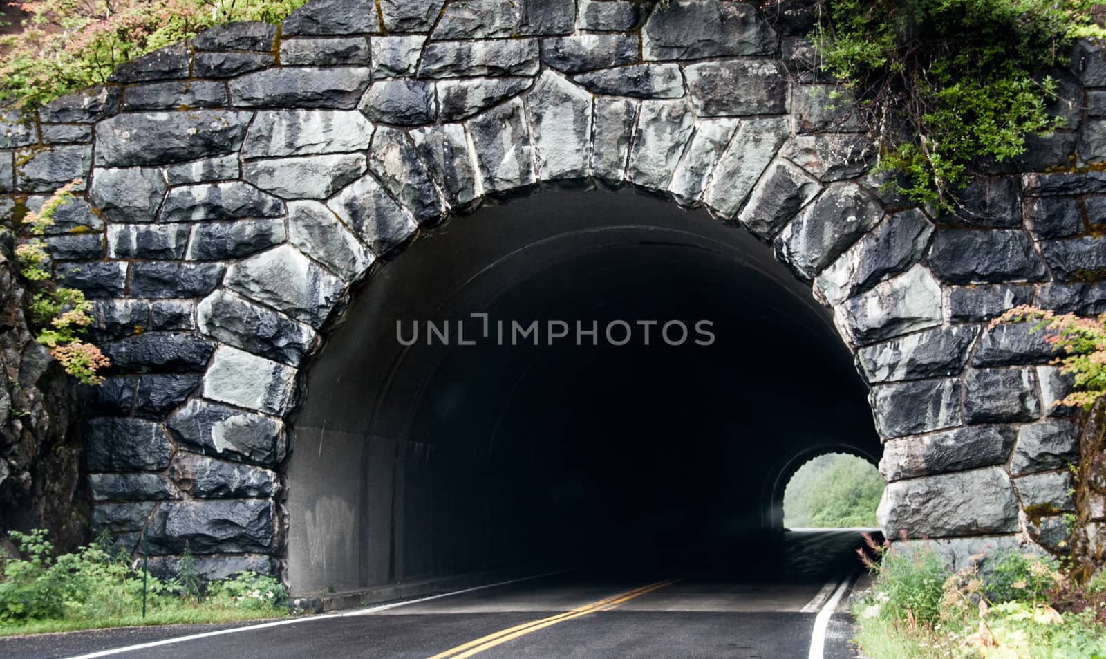 Road going through rocky tunnel with green overgrowth by experiencesnw