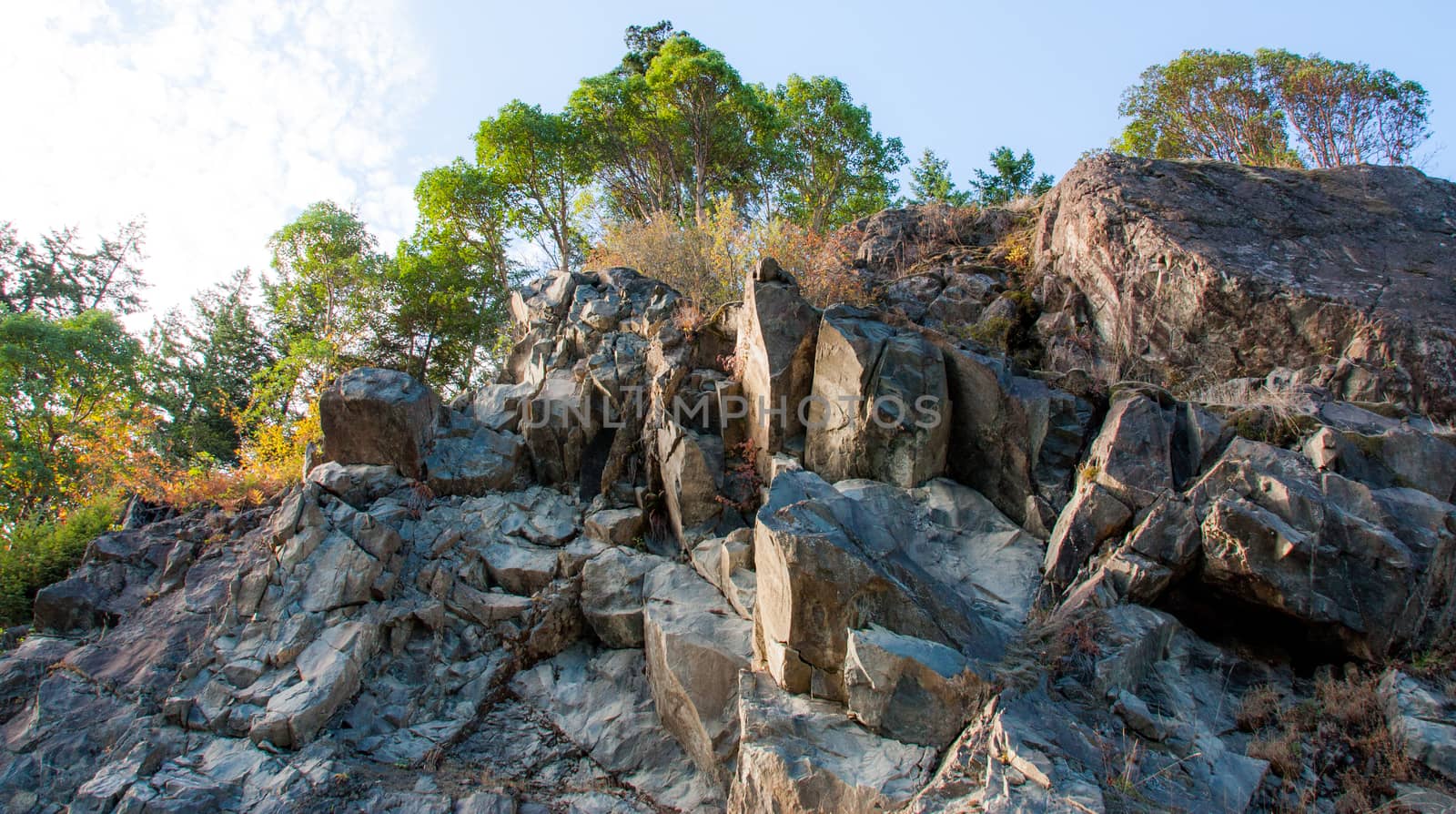 Looking up a rocky cliff with trees on the top by experiencesnw