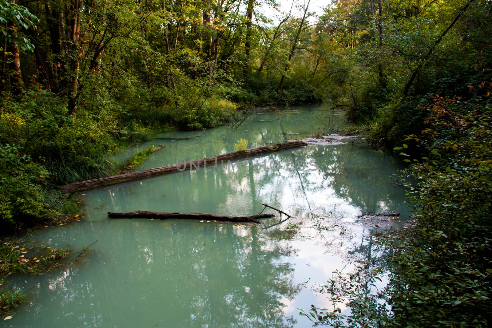 Milky green glacial delta inlet surrounded by forest by experiencesnw