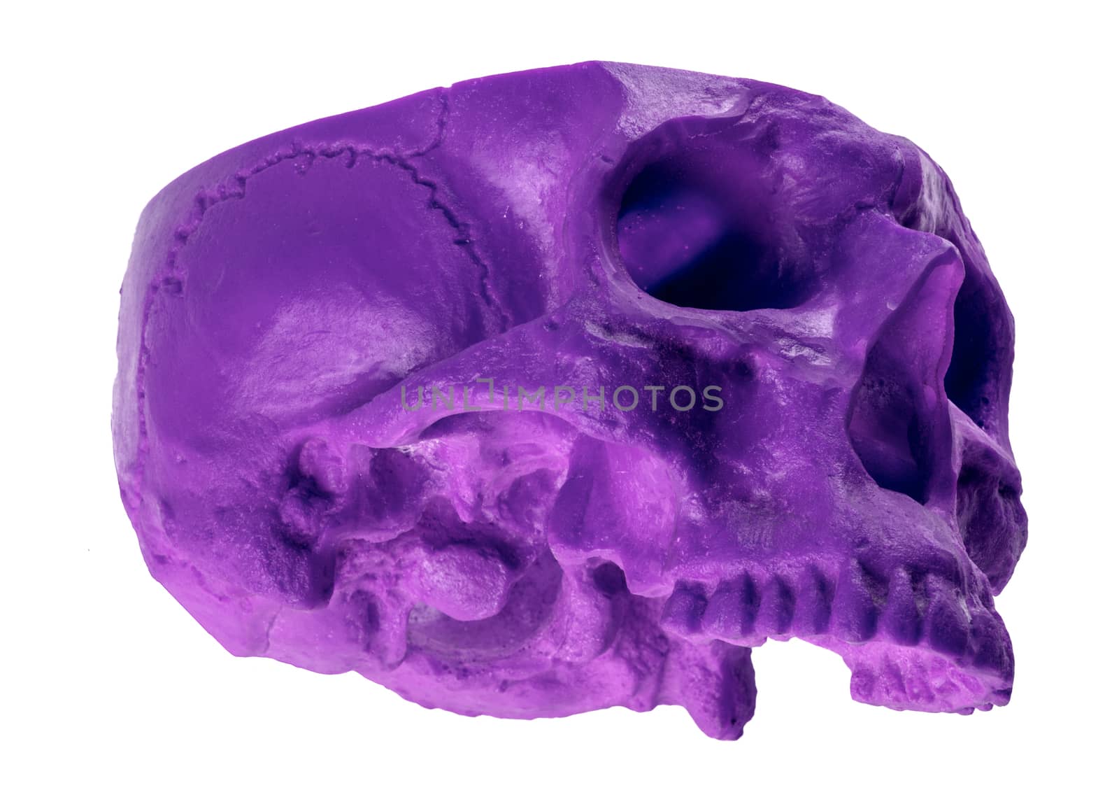 Purple chopped skull at an unusual angle by experiencesnw