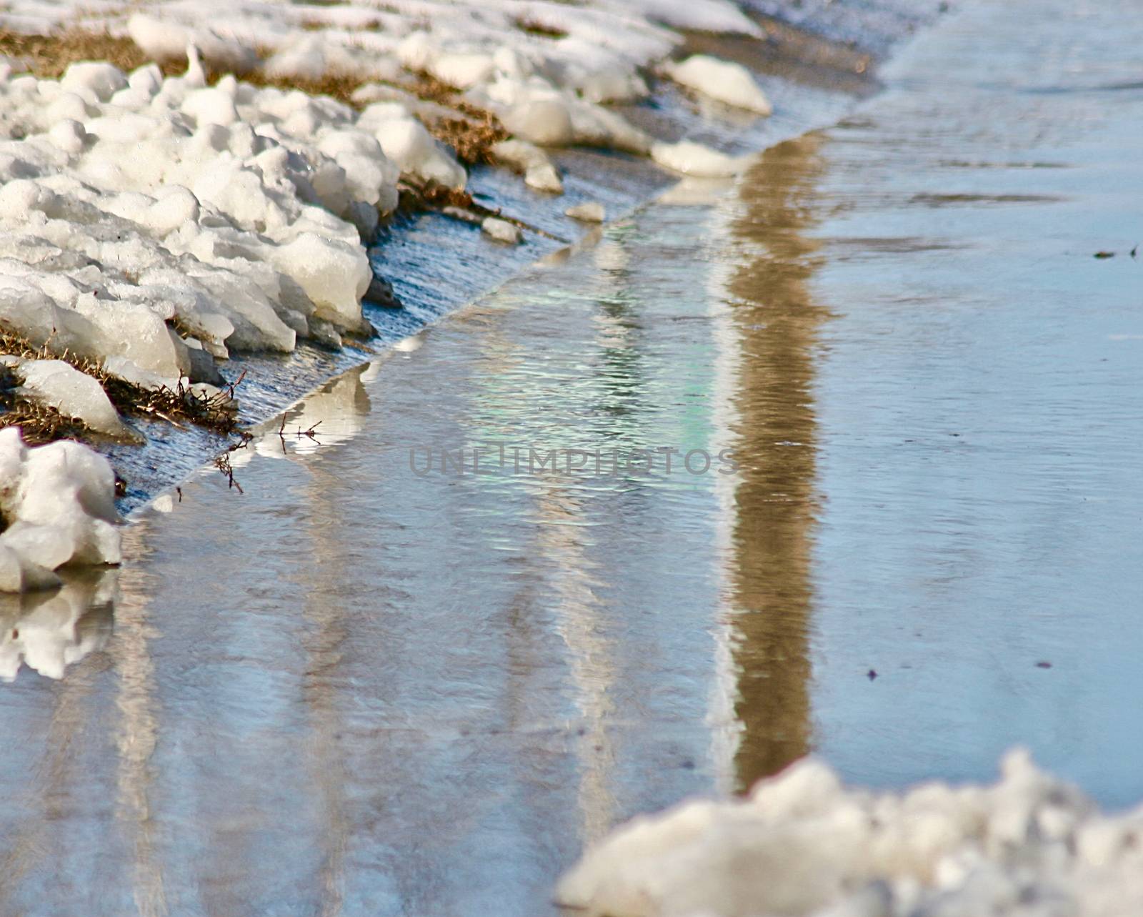 The reflections of tree trunks show wavering in snow melt water.