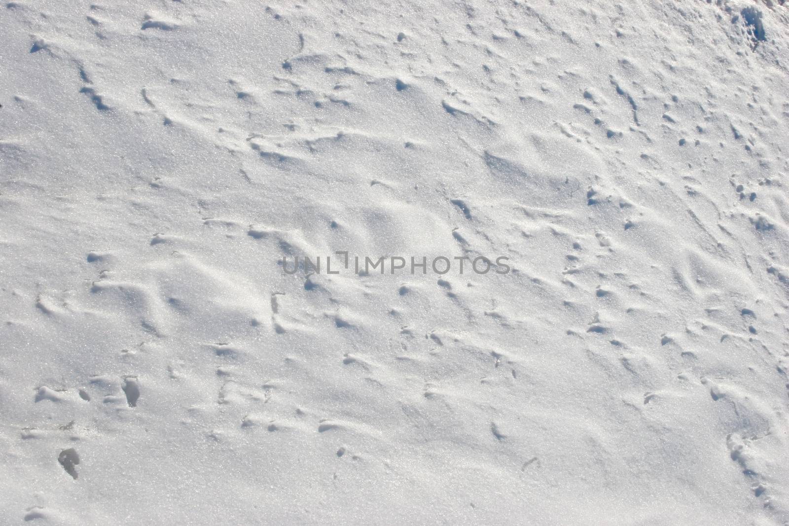 A field of wind blow snows shows its texture in the bright sunlight.