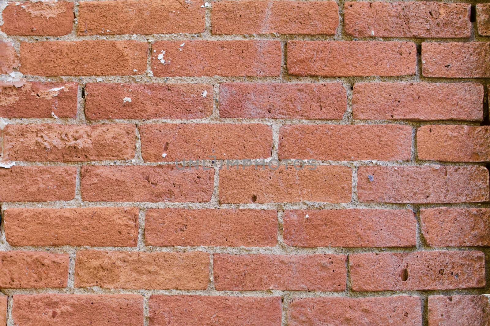 An old brick wall shows in the sunlight.