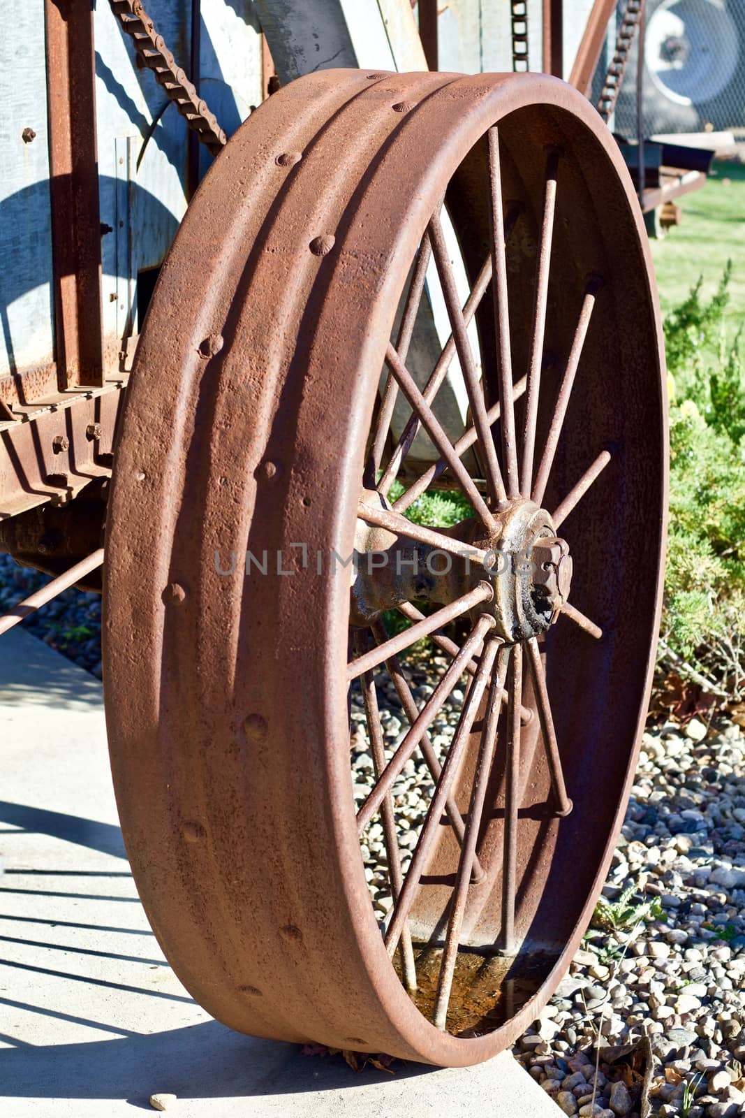 A rusty steel wheel from an early 20th century farm implment shows in the sunshine.