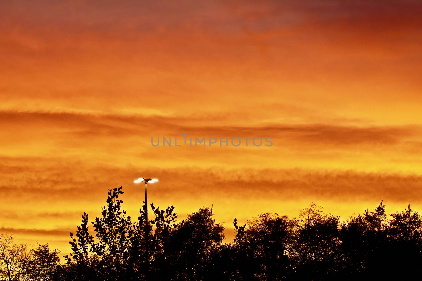 A tall street light shows against a colorful orange and gold sunset.
