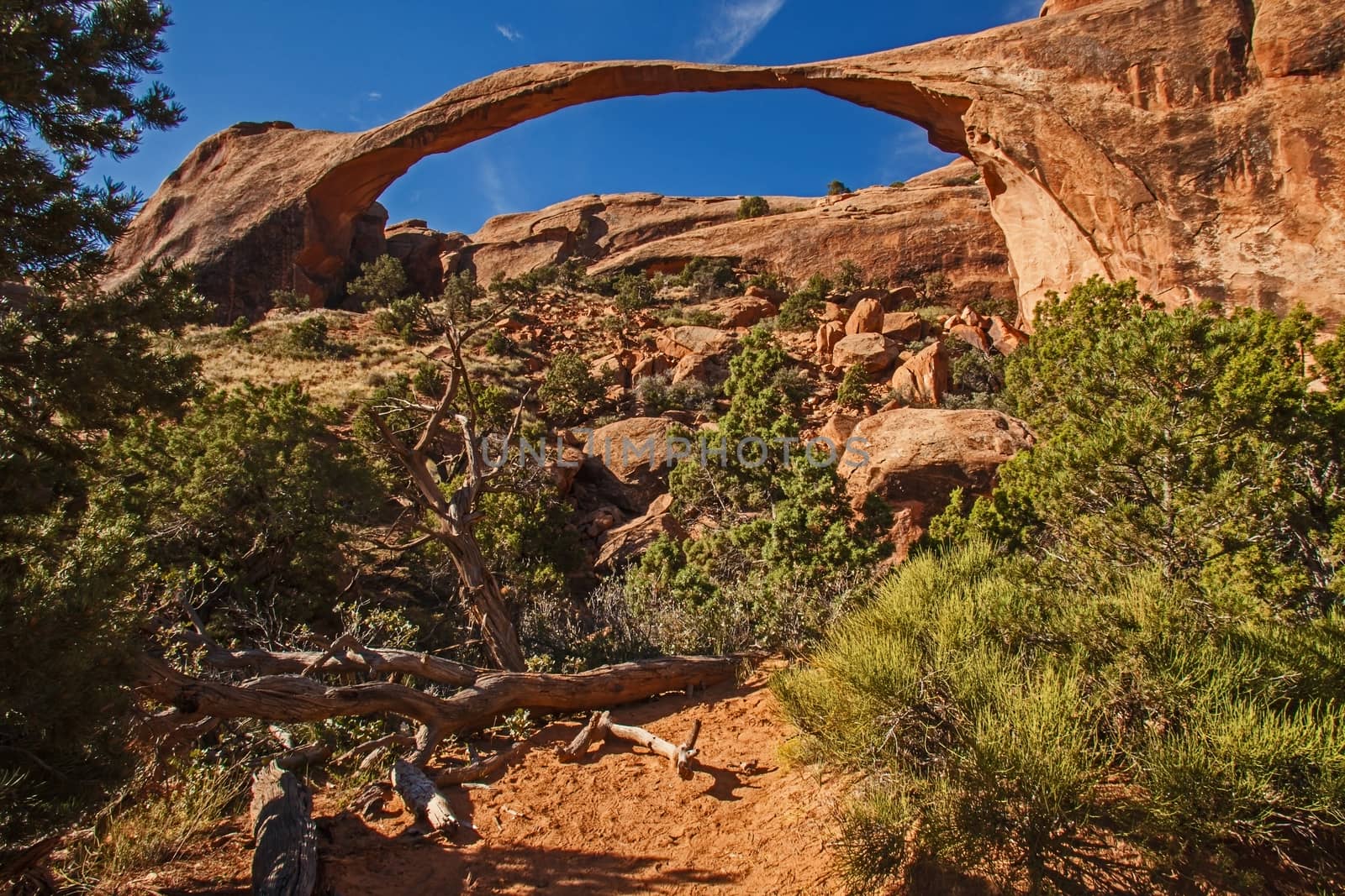 The Landscape Arch, Arches National Park Utah 4 by kobus_peche
