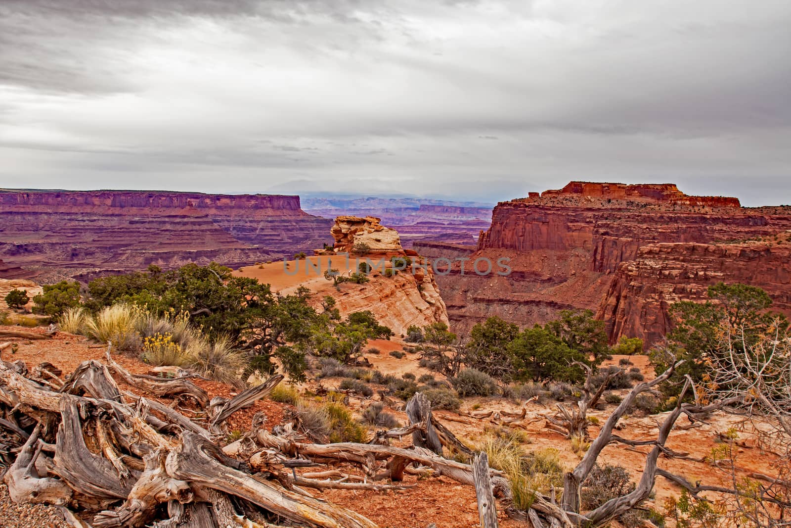 Canyonlands lookout by kobus_peche
