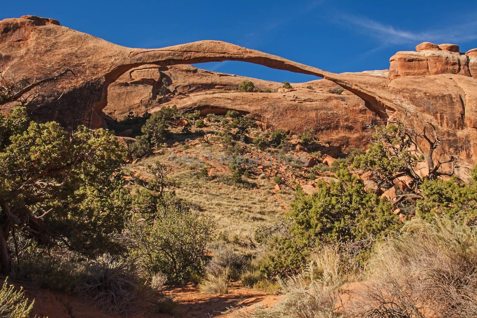 The Landscape Arch, Arches National Park Utah 1 by kobus_peche