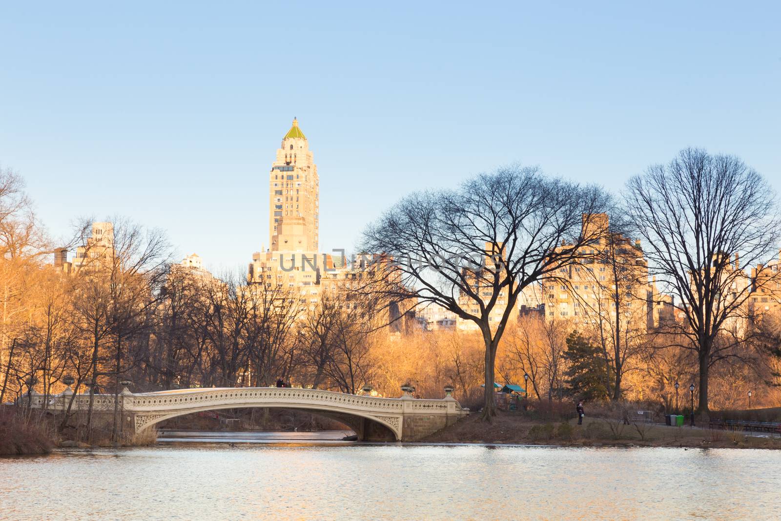 New York City Manhattan Central Park panorama of The lake with Bow bridge, skyscrapers and colorful trees in autumn.