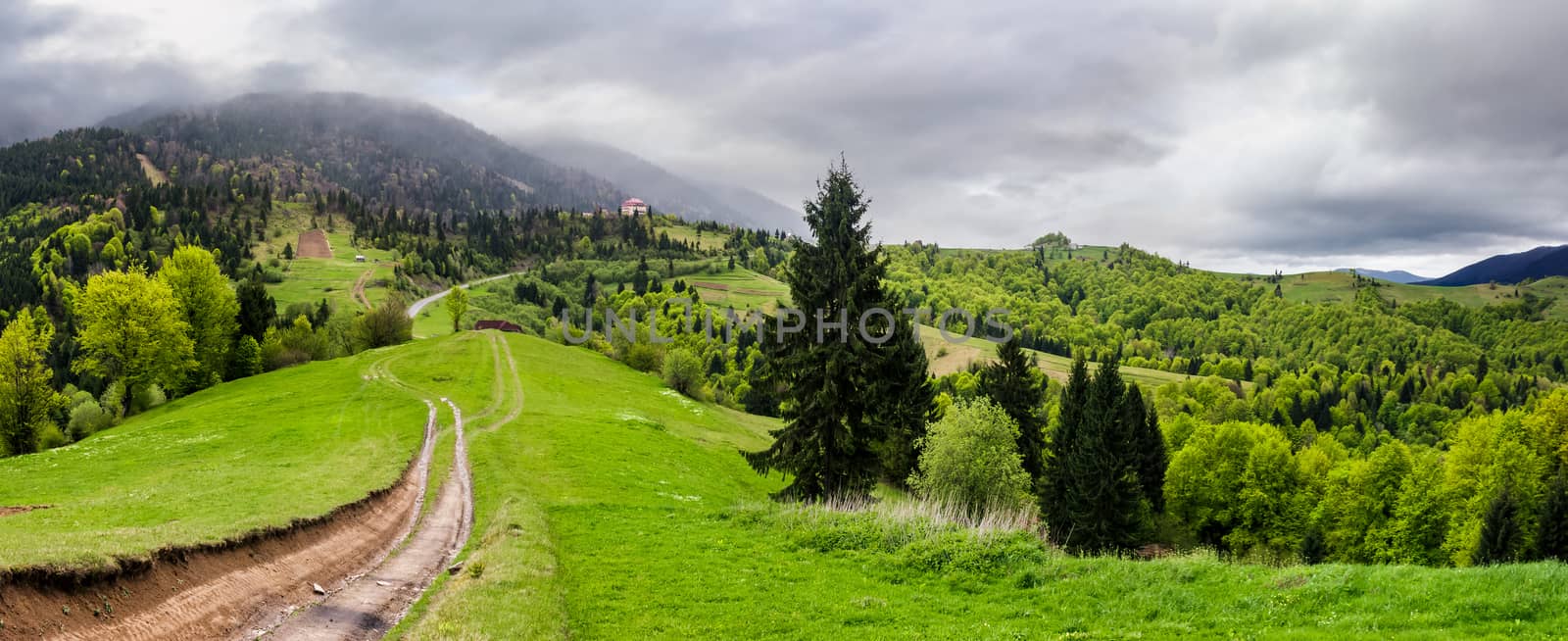 gorgeous countryside of Carpathian mountains by Pellinni