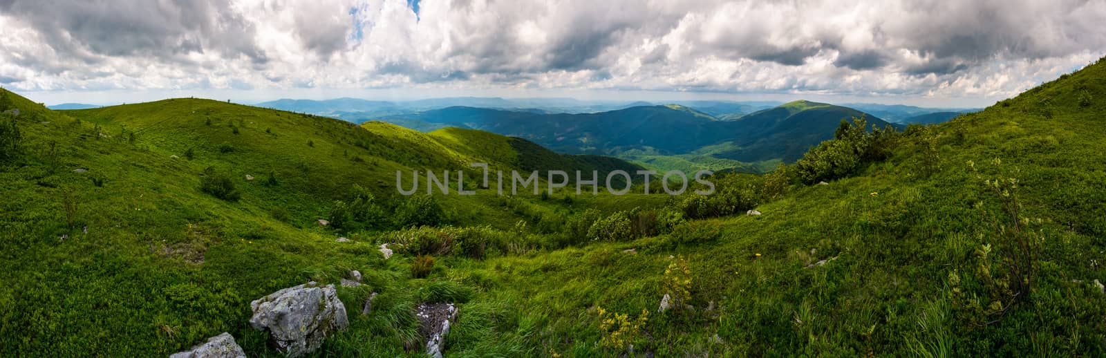 grassy hillside of Carpathians on overcast day by Pellinni