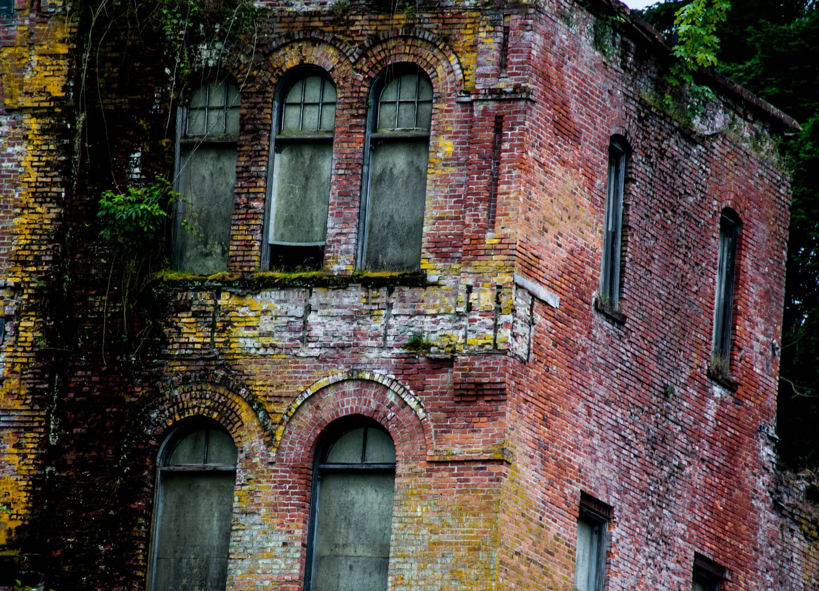 Abandoned brick 2 story building with moss and plant growth from the mortar