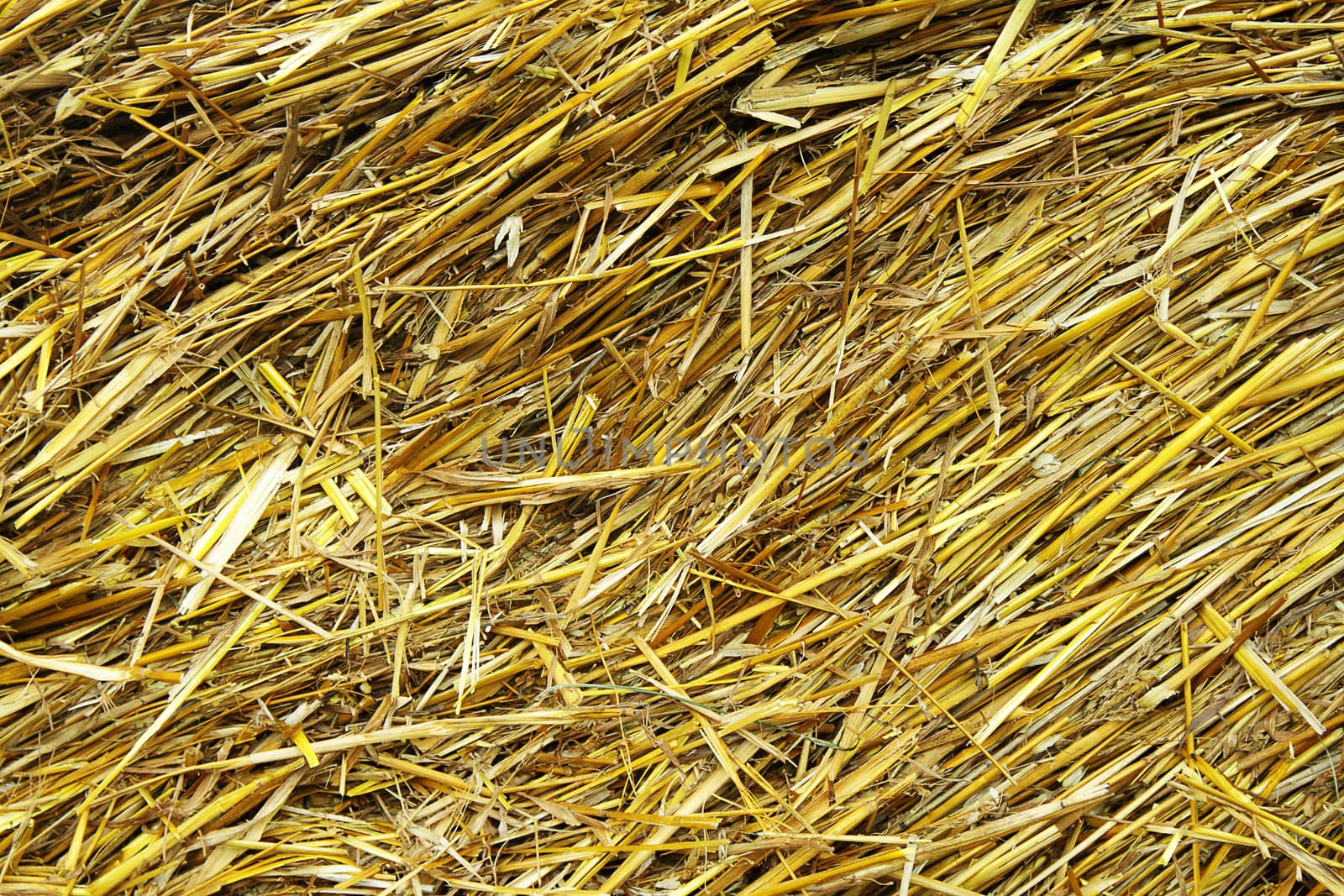 A close up photo of straw