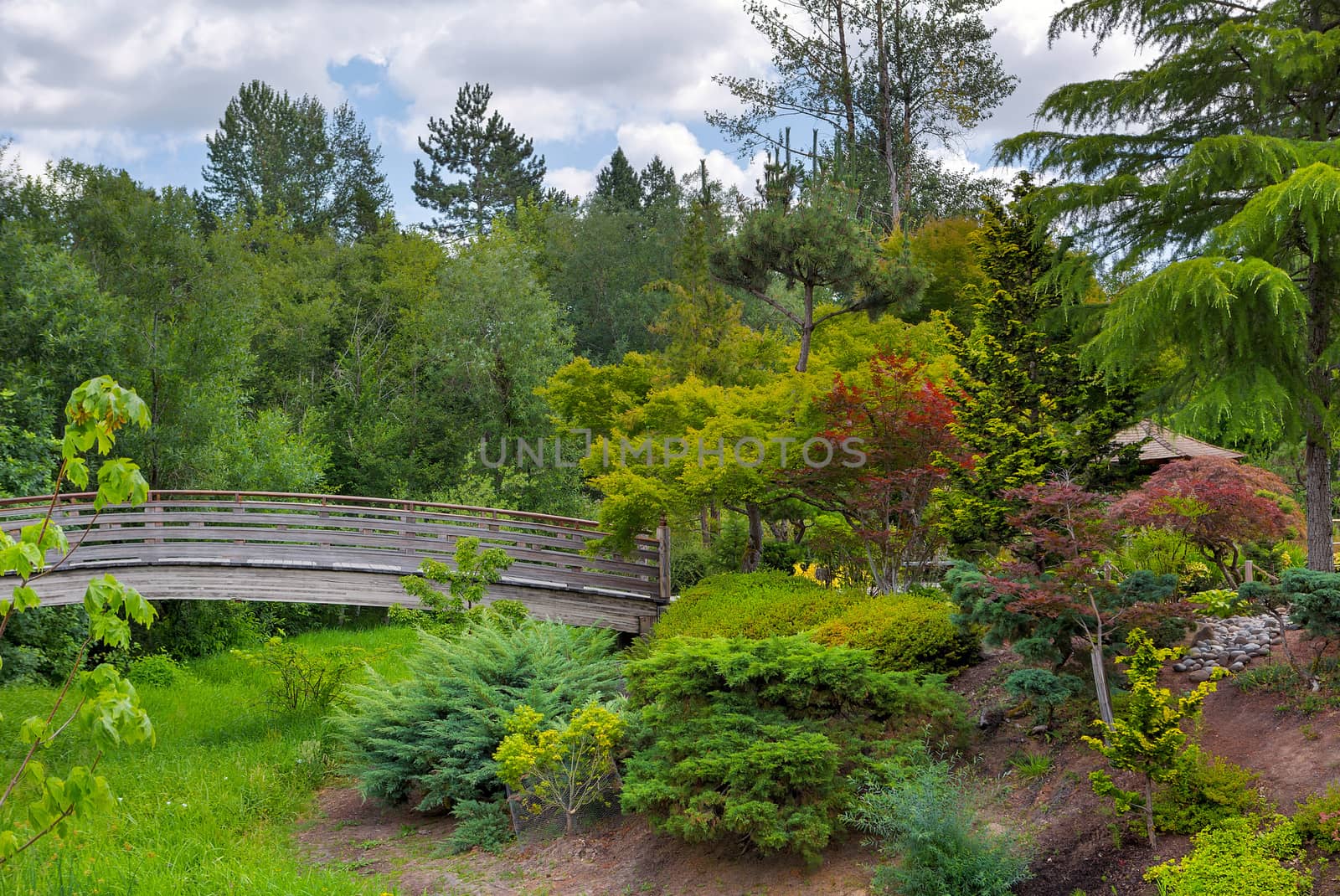 Wooden Footbridge at Tsuru Island Japanese Garden in Gresham Main Street City Park Oregon