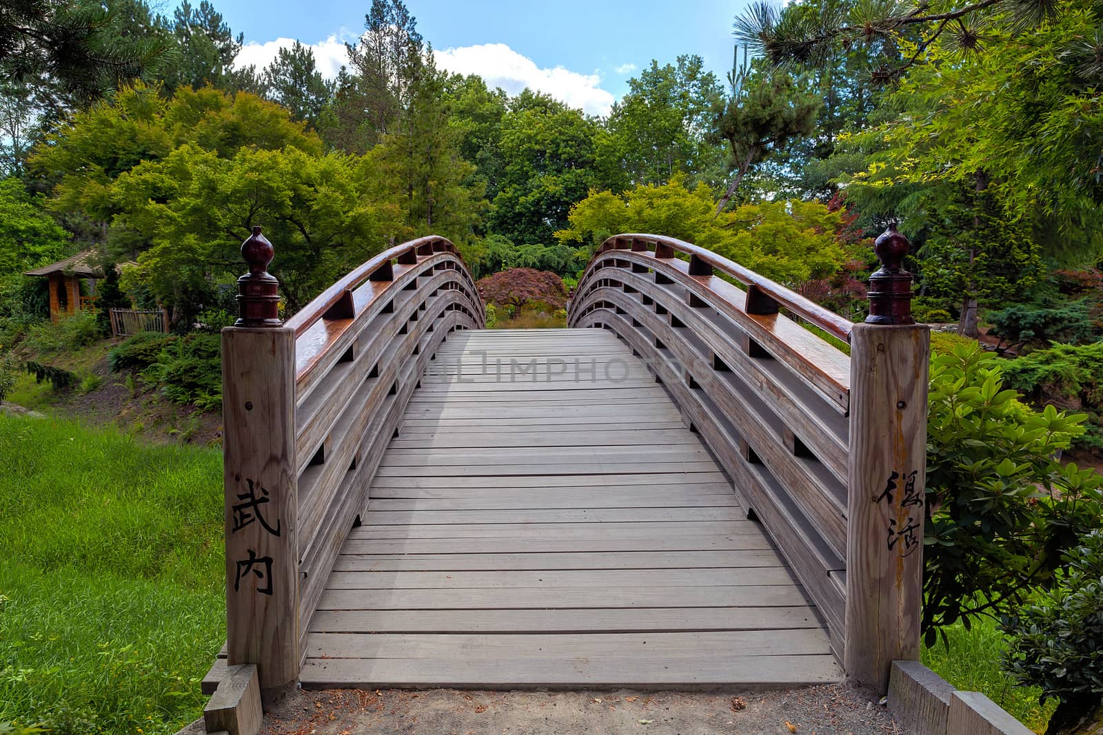 Wooden Foot Bridge to Tsuru Island Japanese Garden by Davidgn