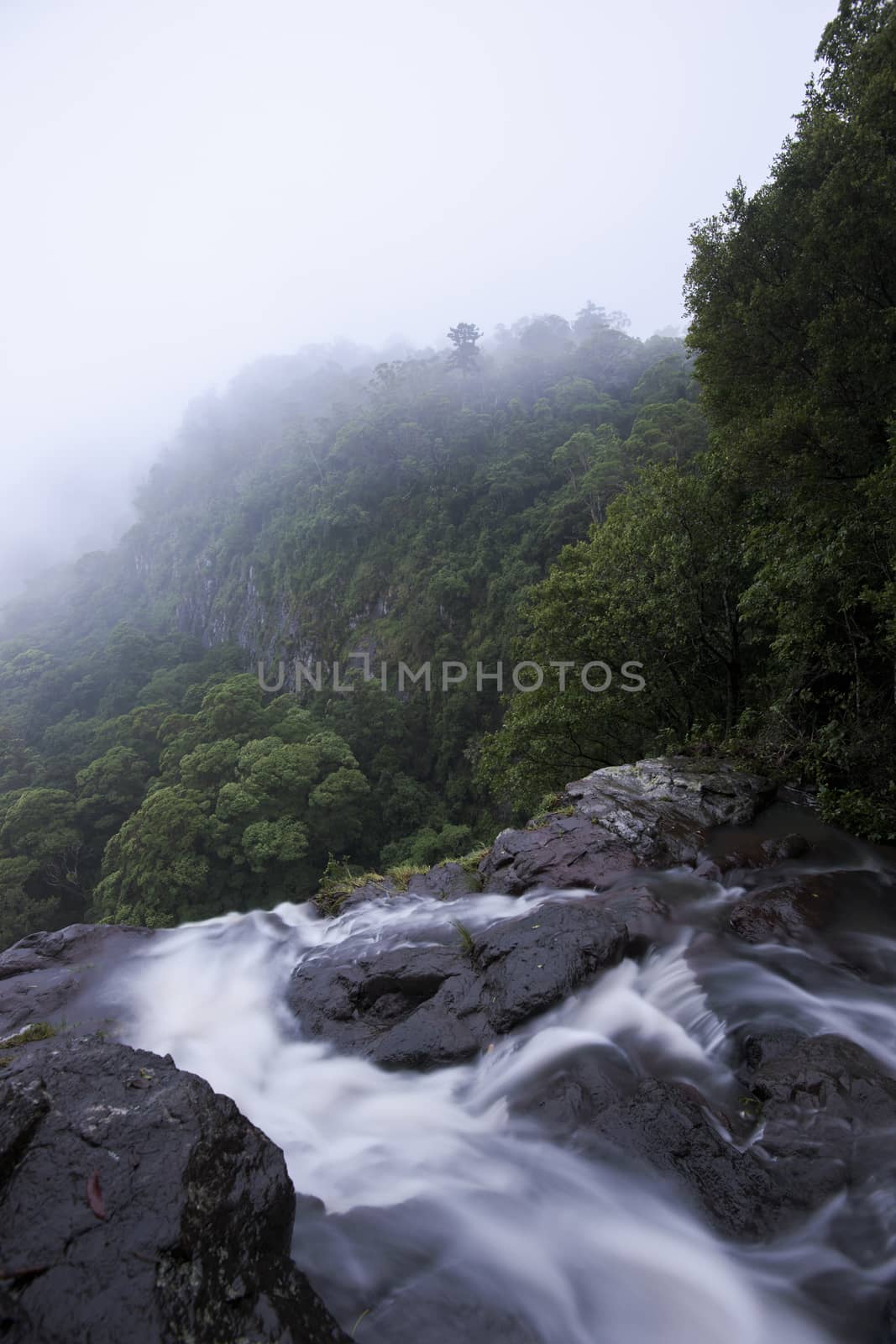 Morans Falls in Tamborine Mountains. by artistrobd