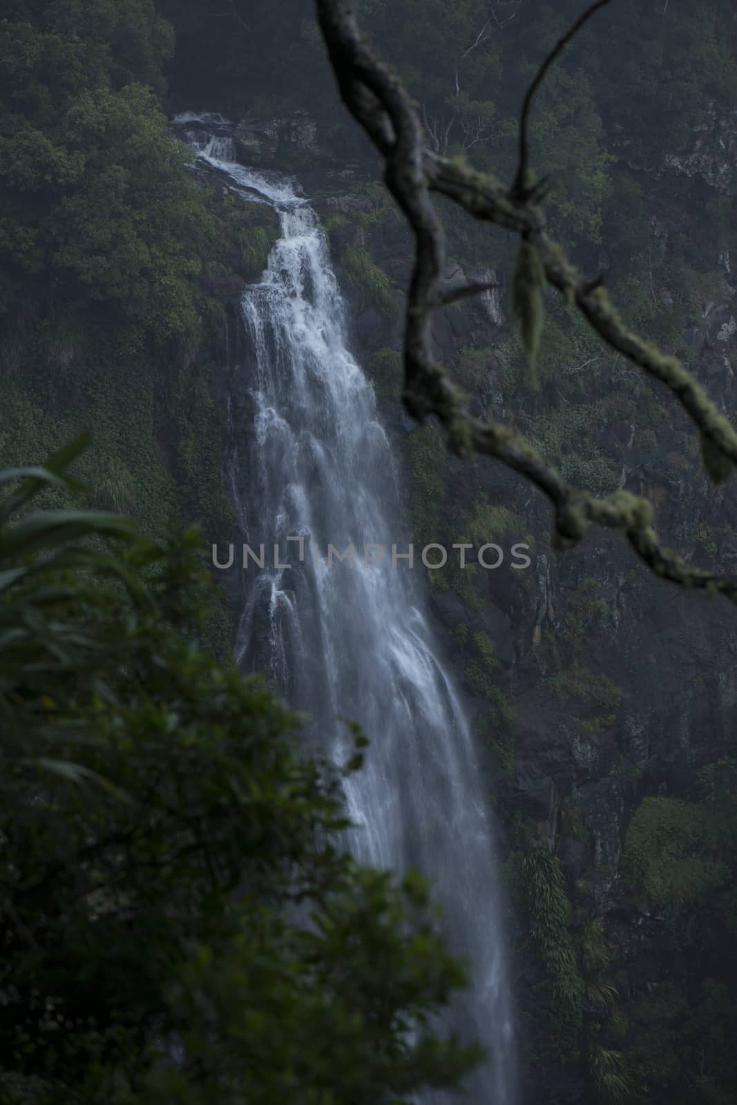 Morans Falls in Tamborine Mountains. by artistrobd