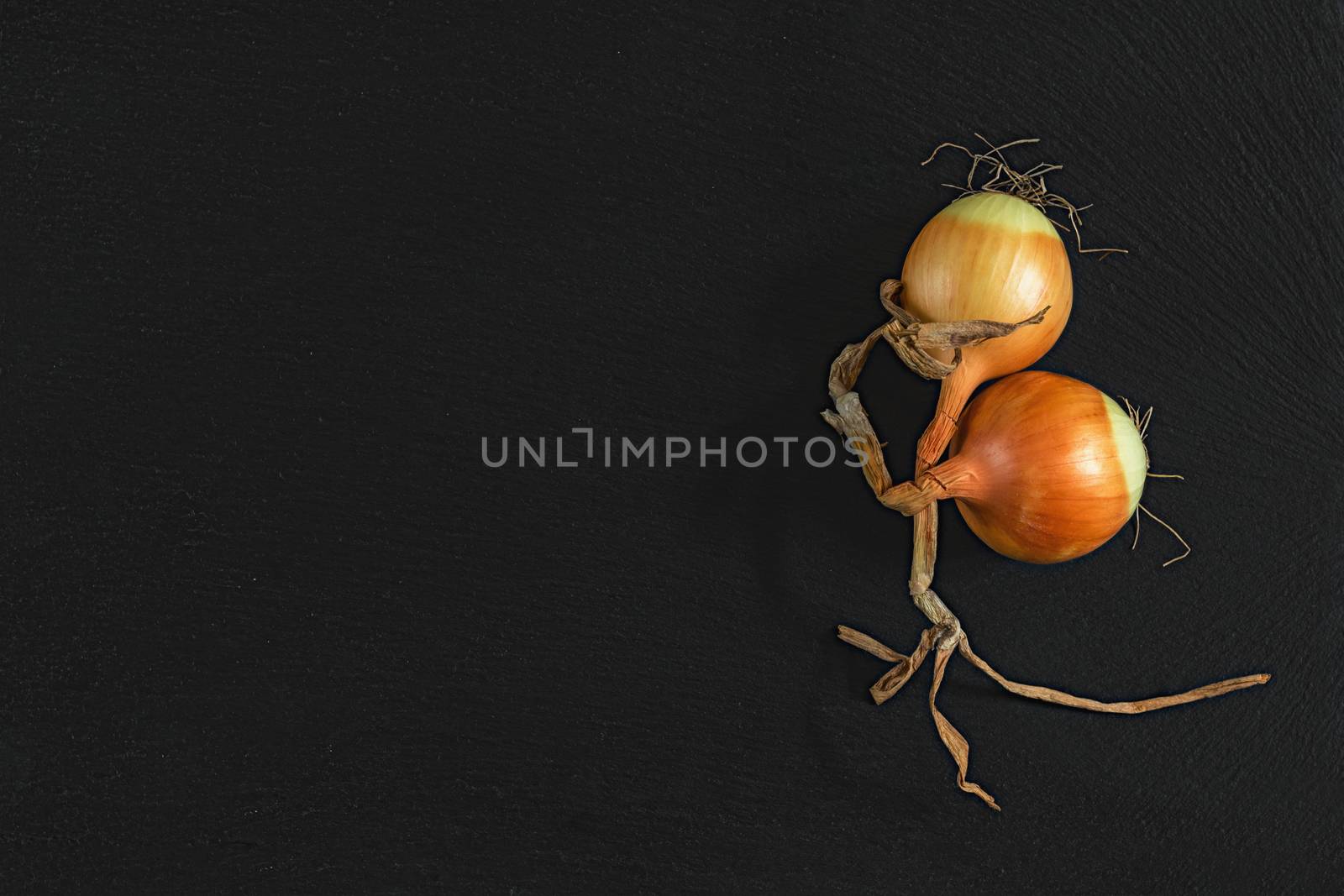 Orange raw two onions on black stone surface. Top view, copy space.
