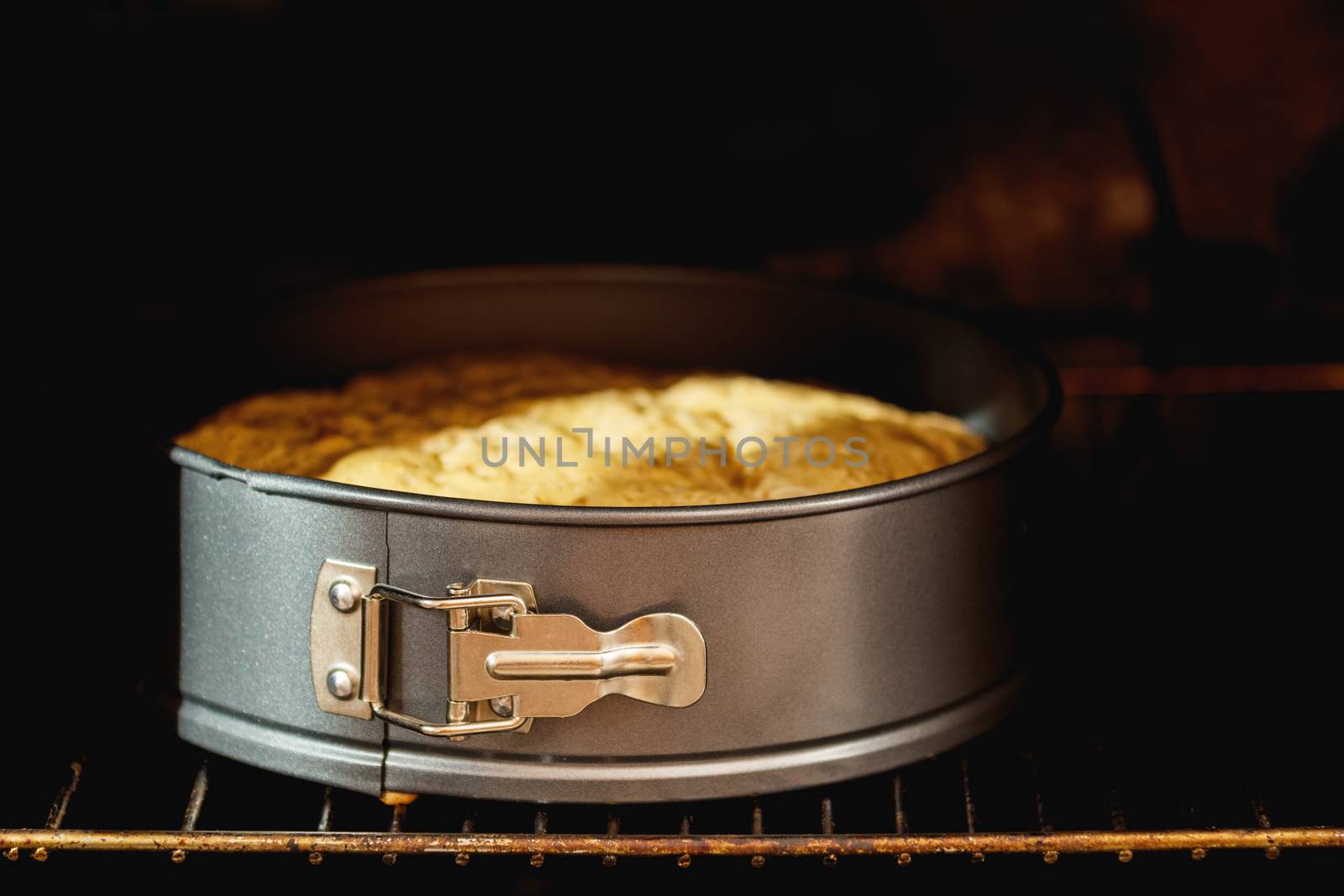 Charlotte, biscuit, pastry, cake in form in the oven. Fresh pastries in processes. Shallow depth of field.