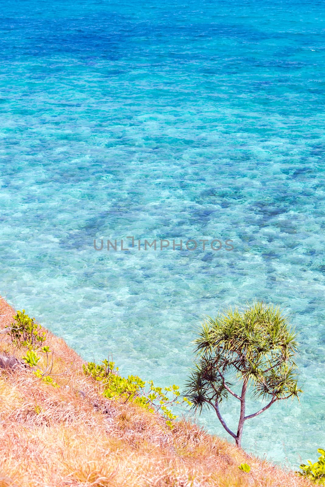 Top view of transparent shallow turquoise ocean sea water surface and rock at andaman sea indian ocean in summer.