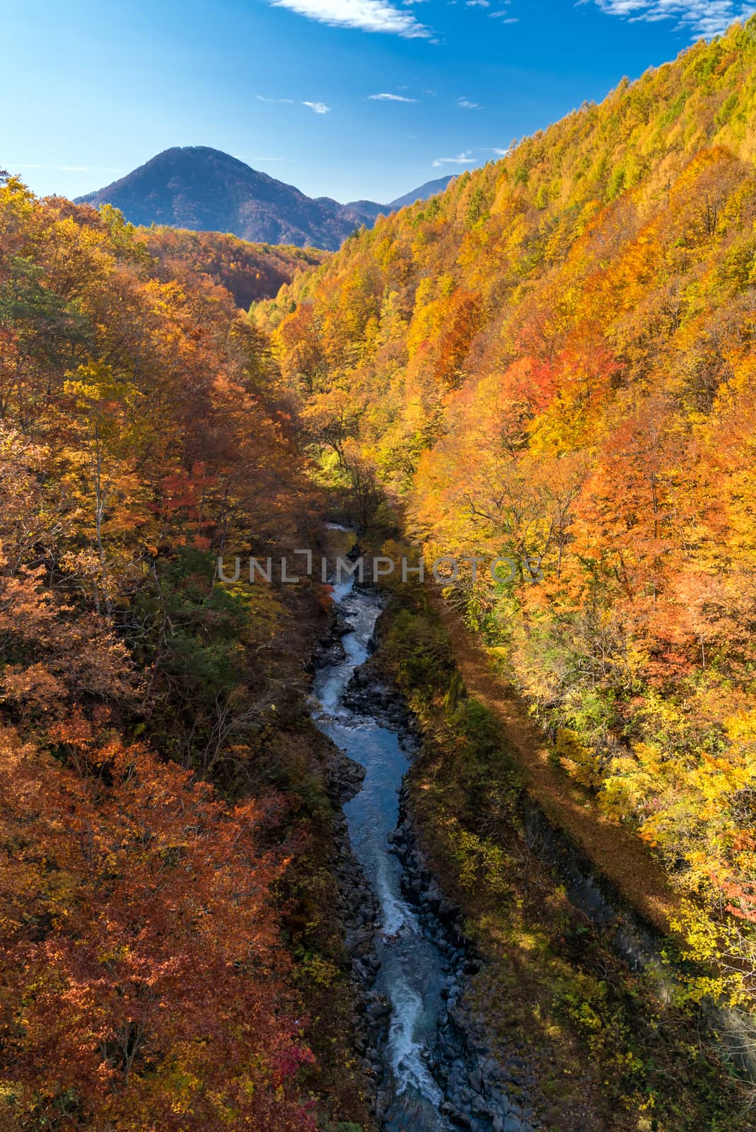 Nakatsugawa gorge from bridge at Fukushima in autumn fall Japan