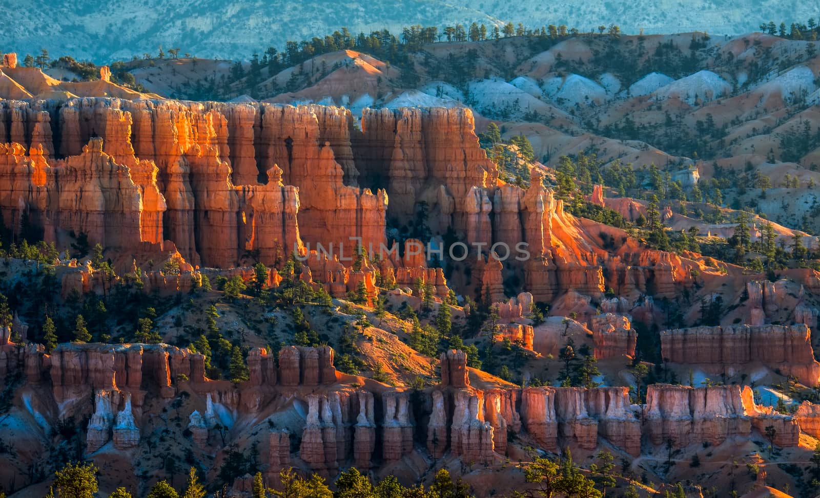 Golden Sunrise at Bryce Canyon