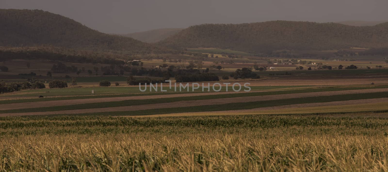 Agricultural and farming field in the countryside.