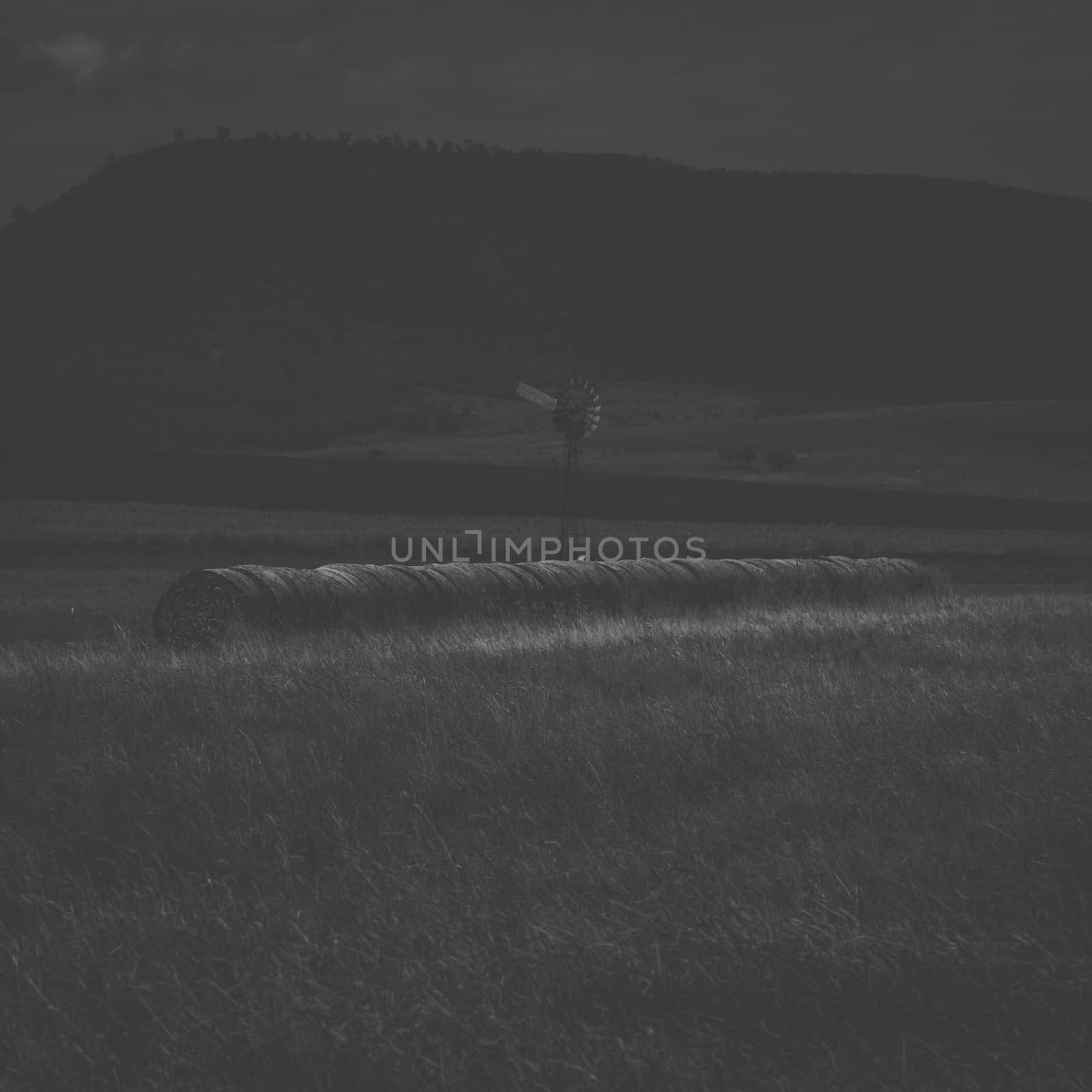 Agricultural and farming field in the countryside.