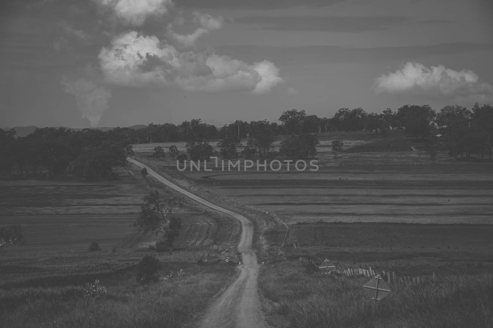 Country agricultural and farming field. by artistrobd
