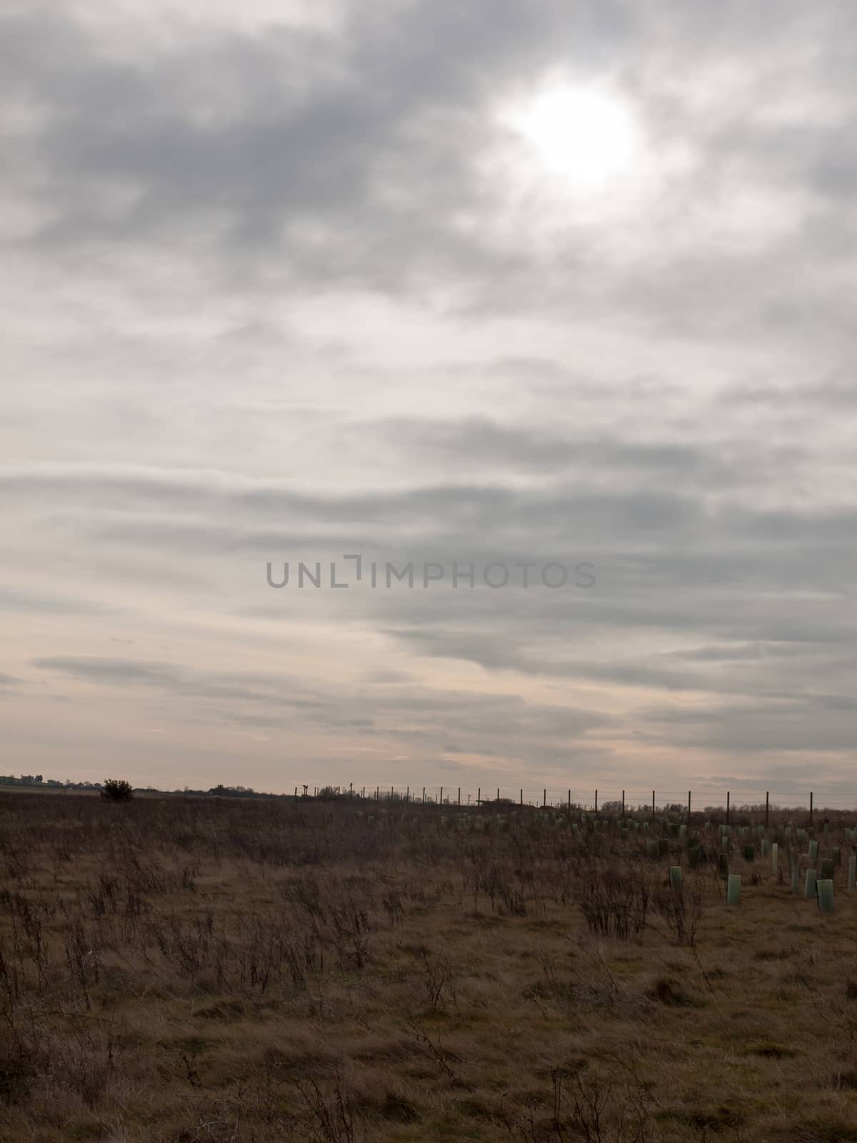 moody dark sky above field of grass sun setting autumn; essex; england; uk