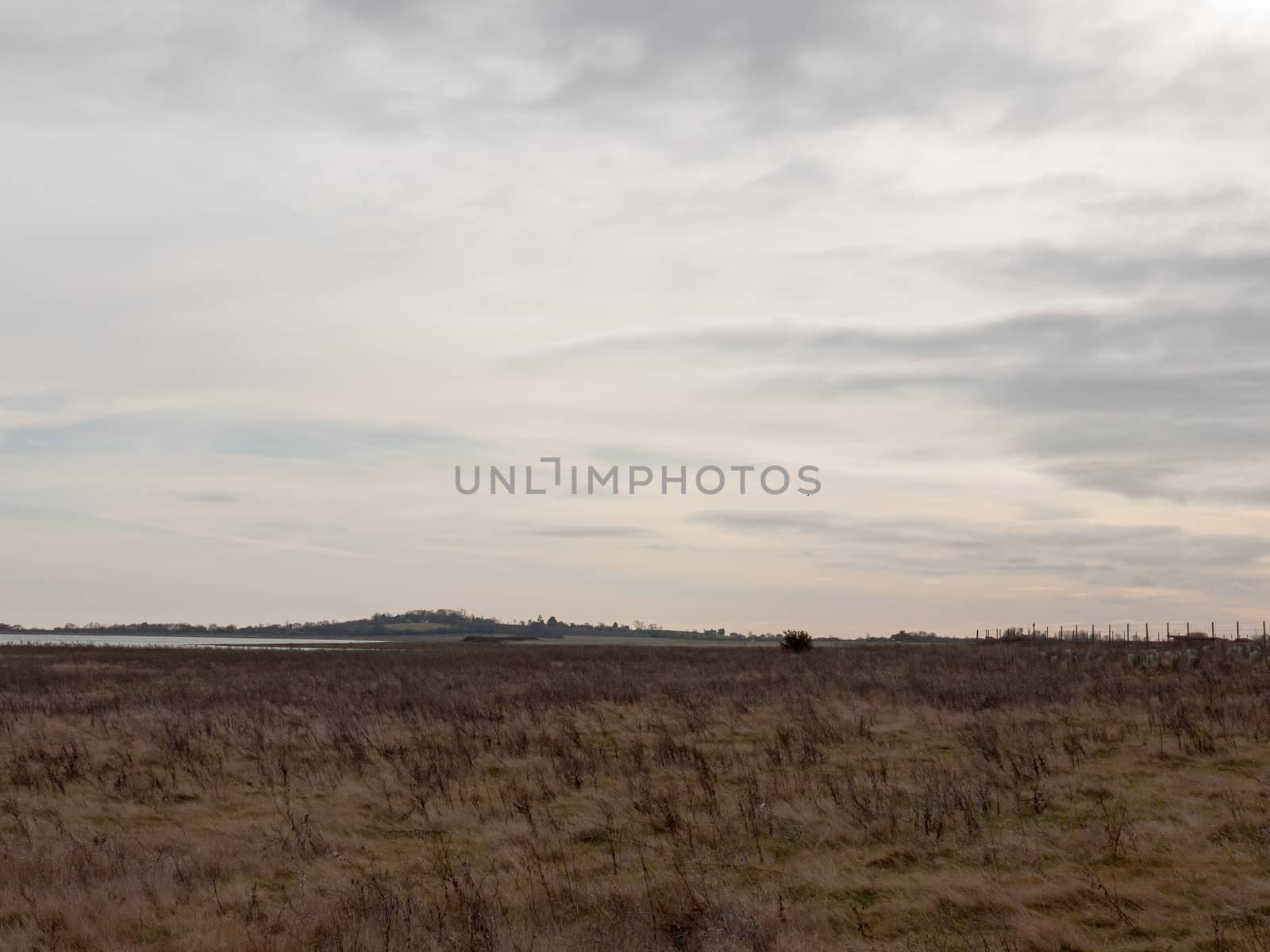 open sea coast plain with grass in front horizon overcast clear calm; essex; england; uk