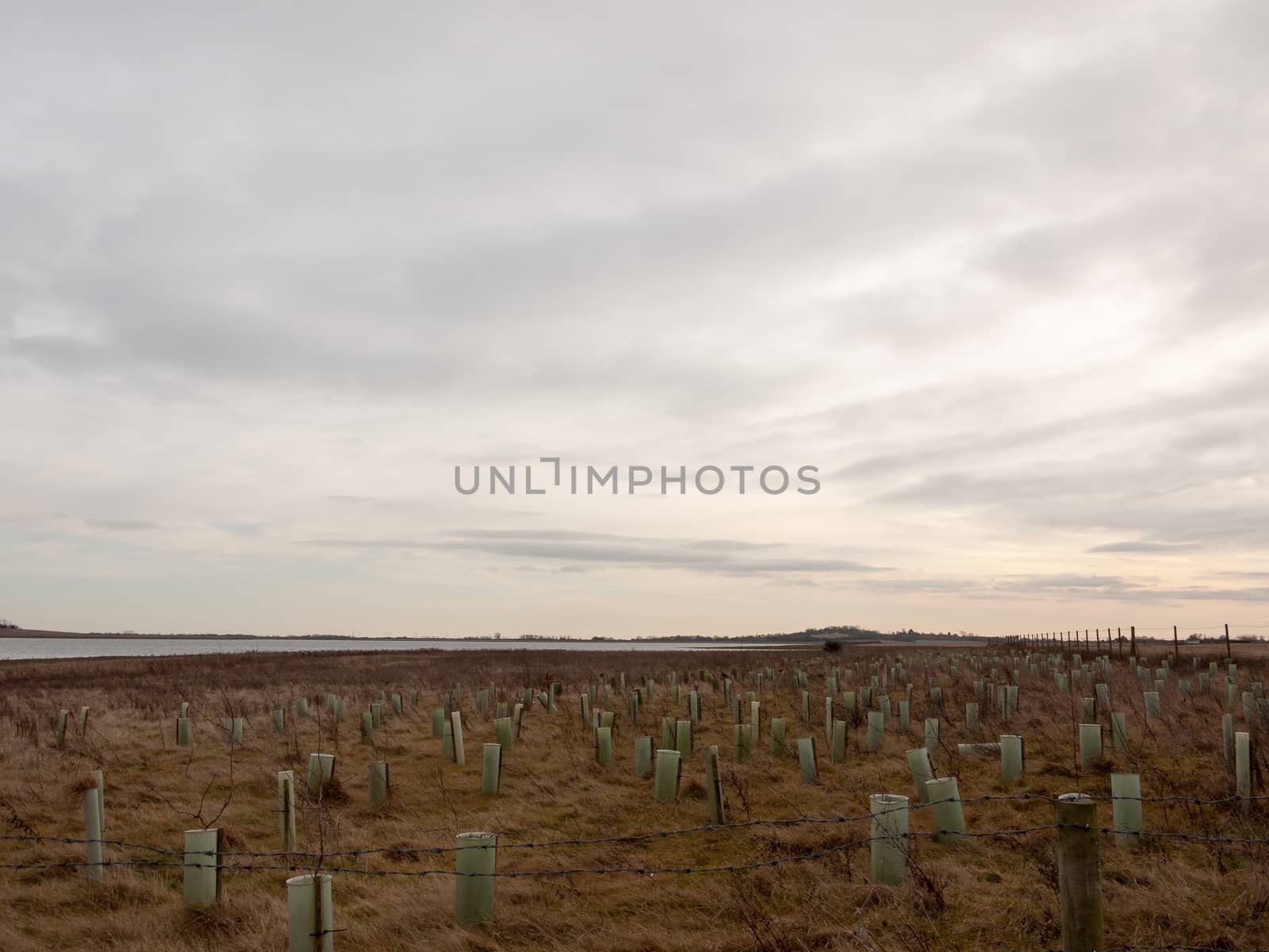 open sea coast plain with grass in front horizon overcast clear calm; essex; england; uk