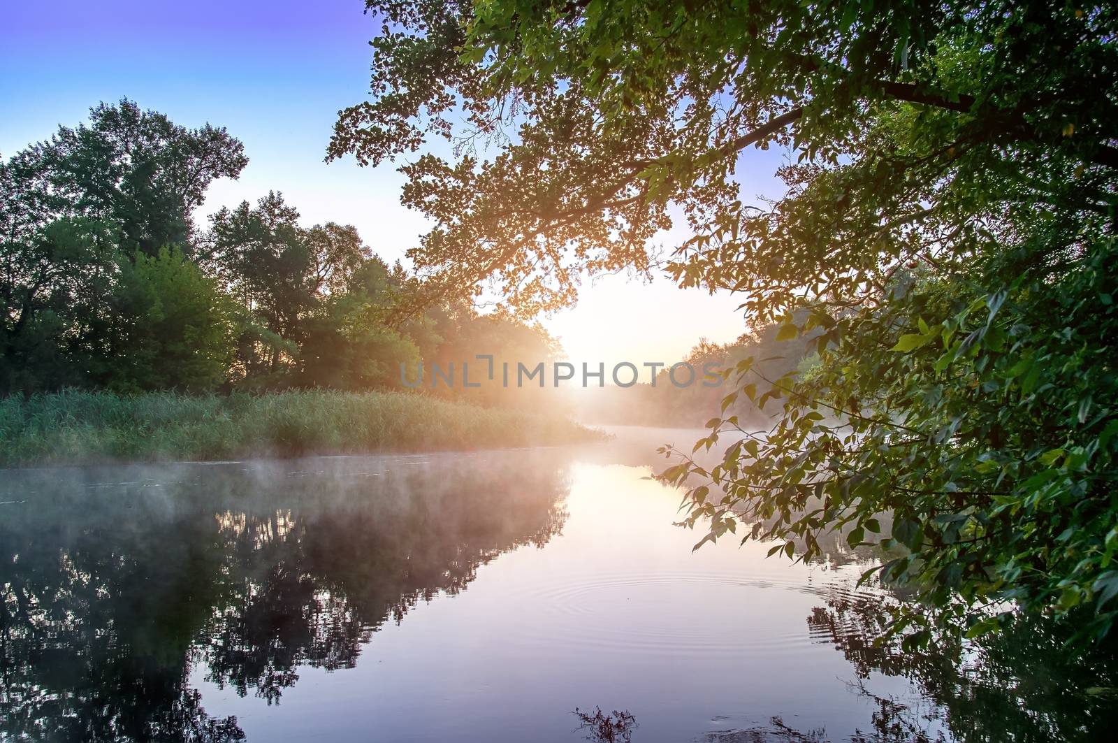 Morning fog on calm river by Cipariss