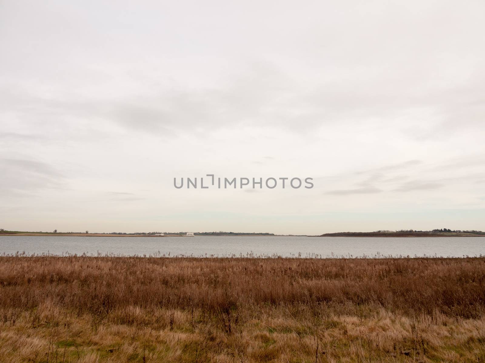 open sea coast plain with grass in front horizon overcast clear calm; essex; england; uk