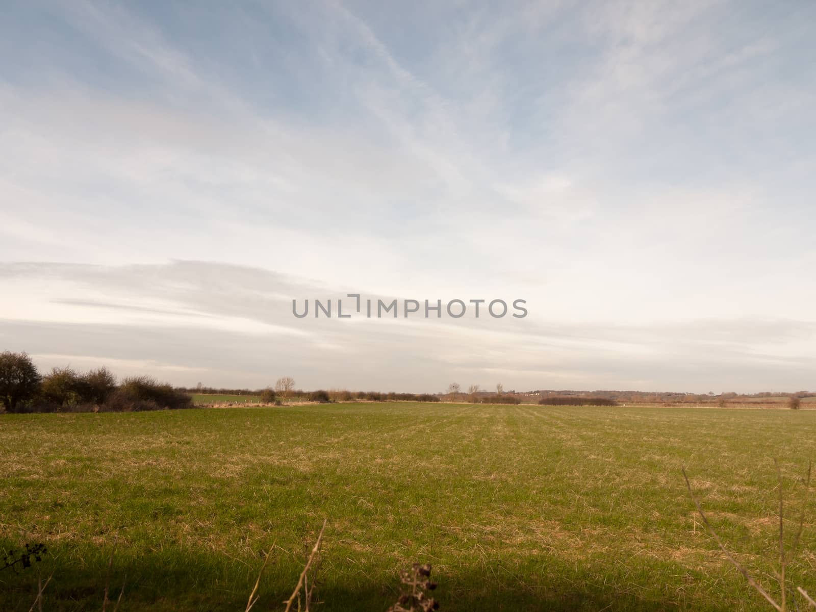 outside open field summer spring day sky clouds plain grass; essex; england; uk