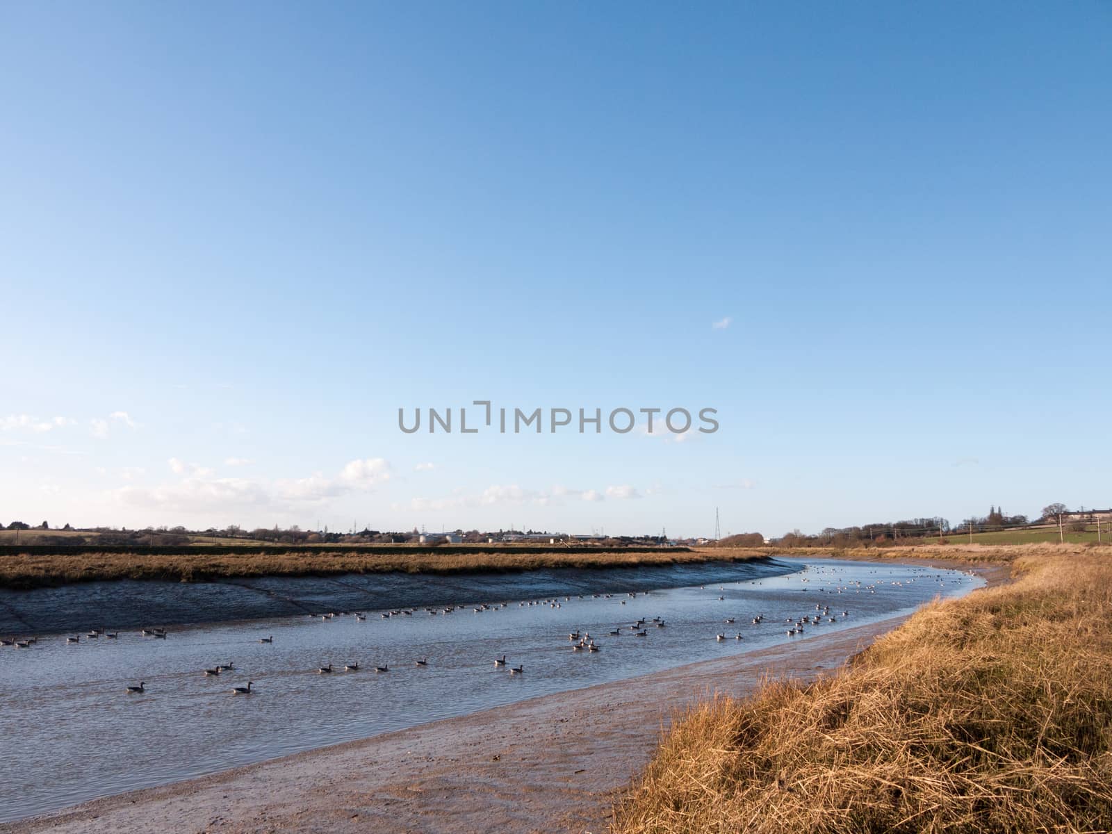 stream river landscape view blue water coast essex estuary with geese; essex; england; uk