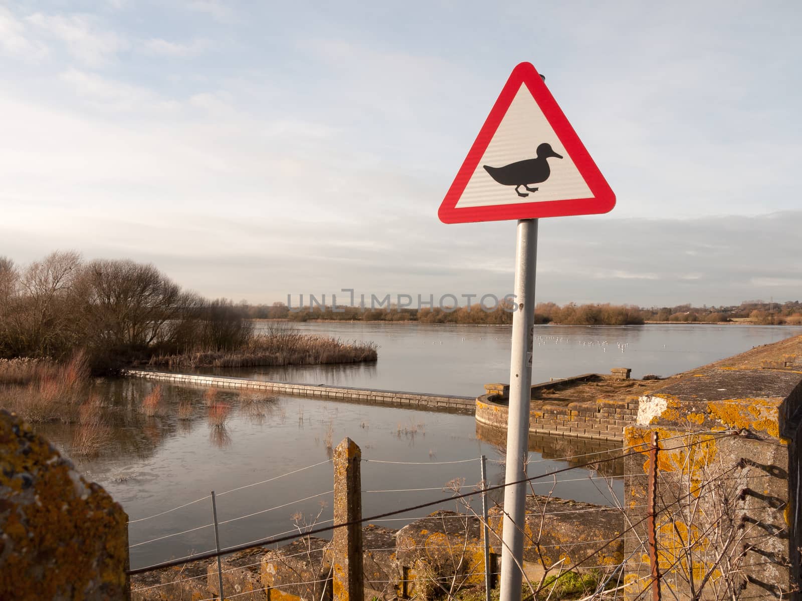 warning sign duck silhouette white and red triangle metal sign p by callumrc