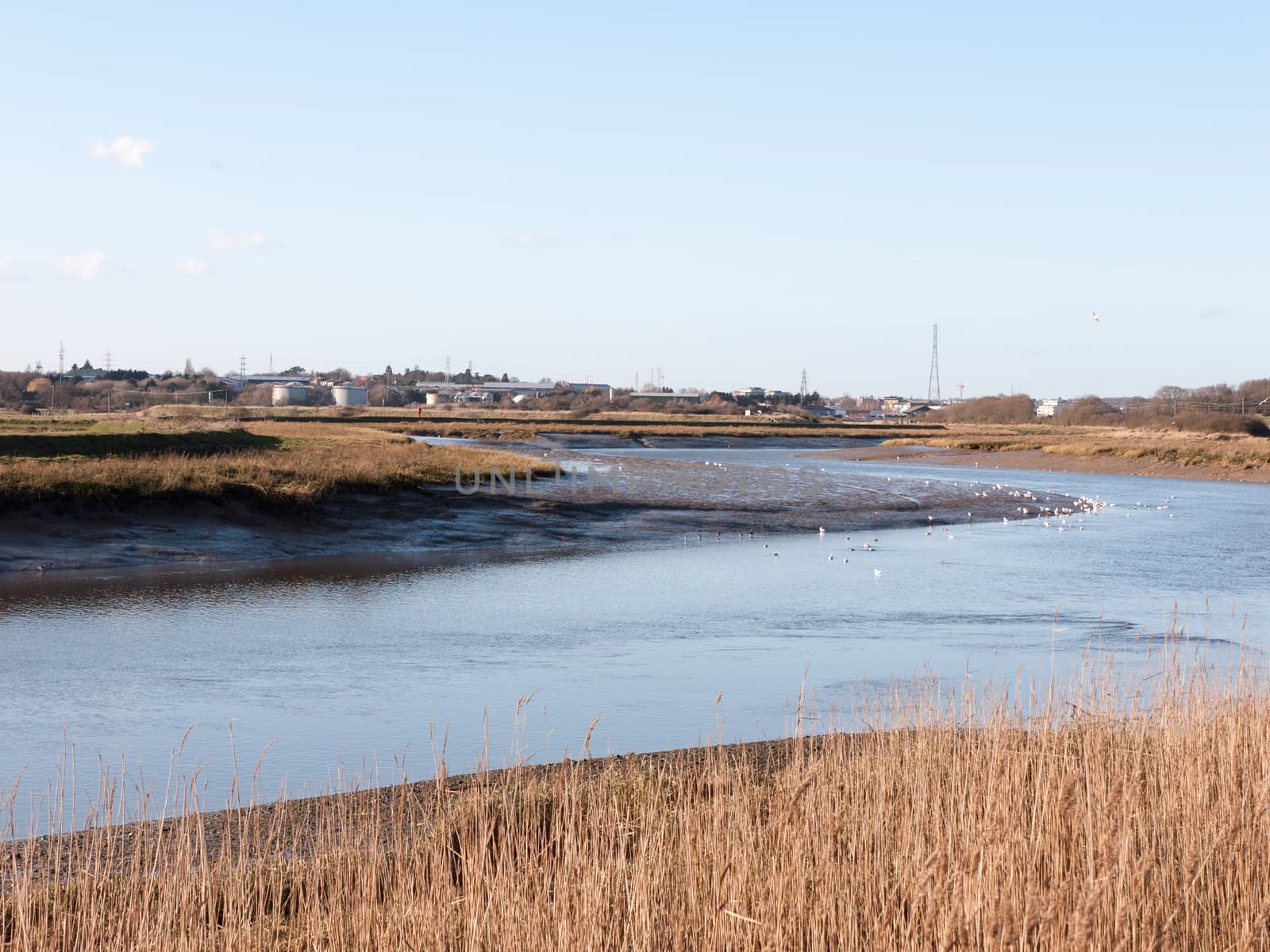 stream river landscape view blue water coast essex estuary; essex; england; uk