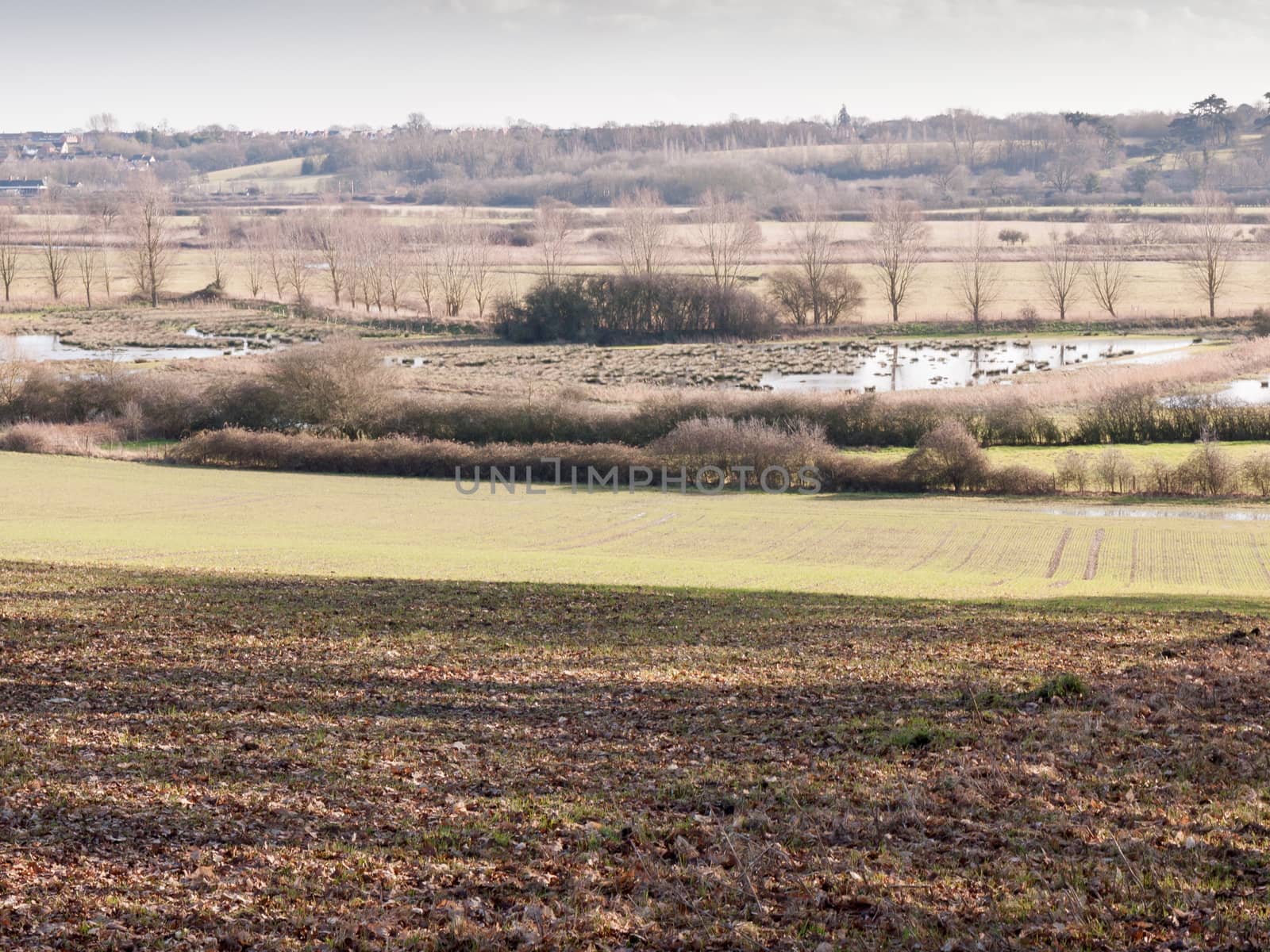 view of large valley with lake river and row of trees in the distance outside brown texture floor; essex; england; uk