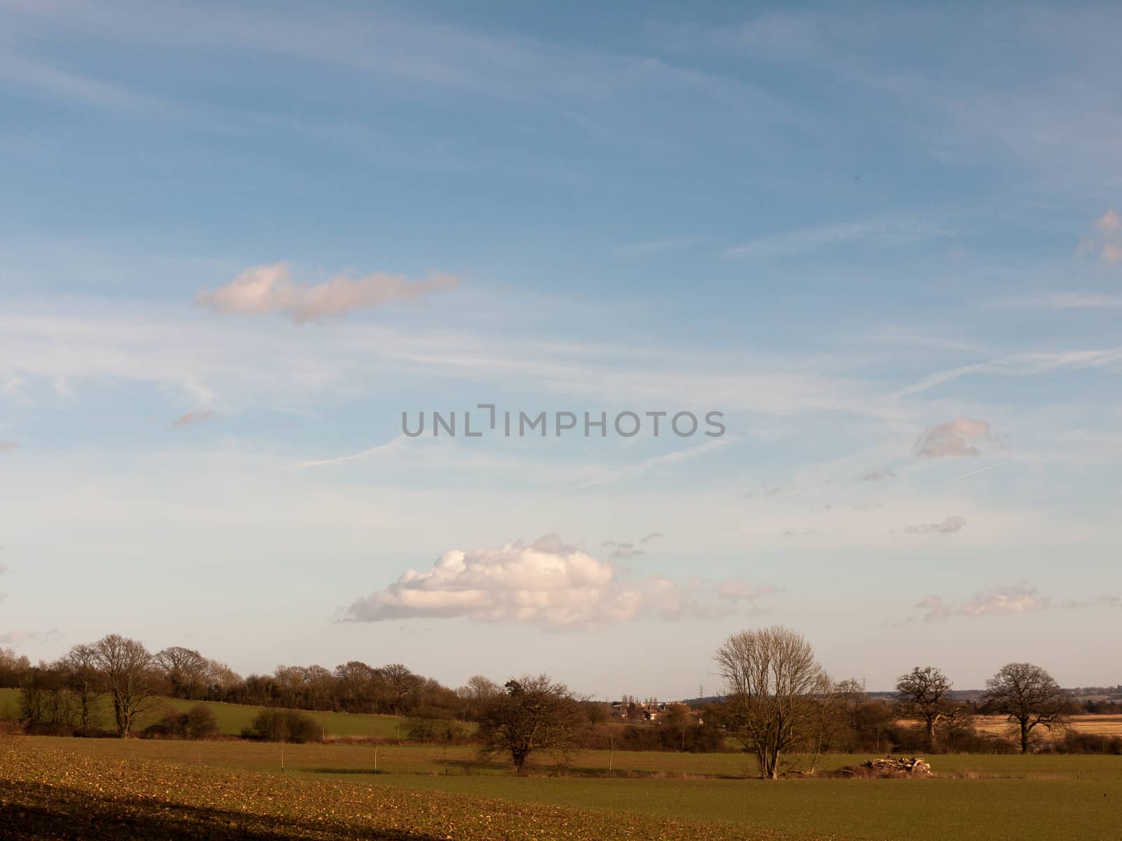 large open grass agriculture field outside blue cloudy sky; essex; england; uk