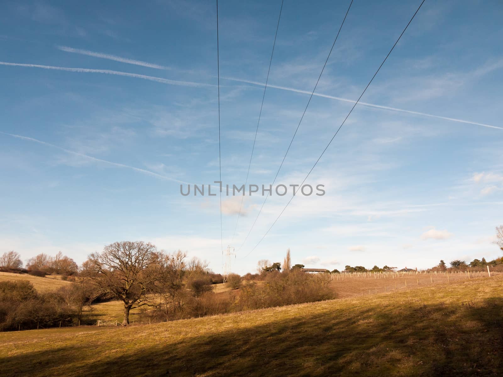 view of open green empty grass fields outside spring dedham vale landscape; essex; england; uk
