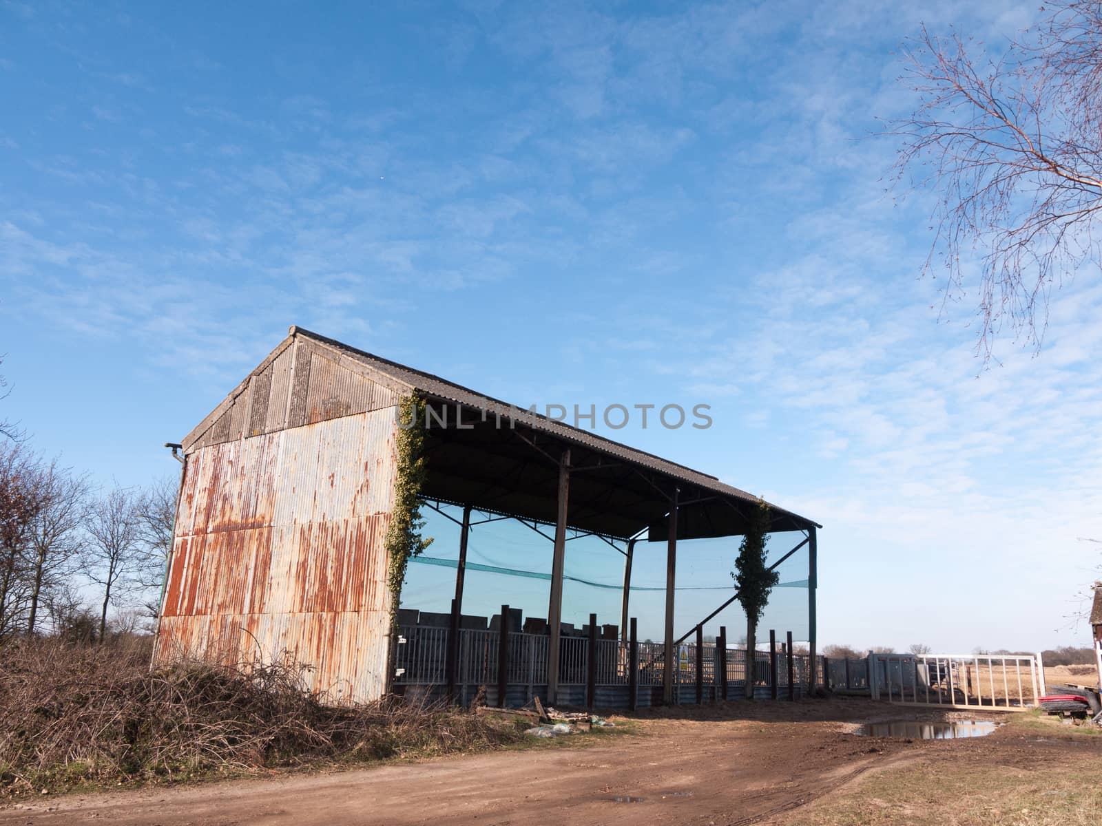 old farm land cow shed blue sky agriculture pen; essex; england; uk