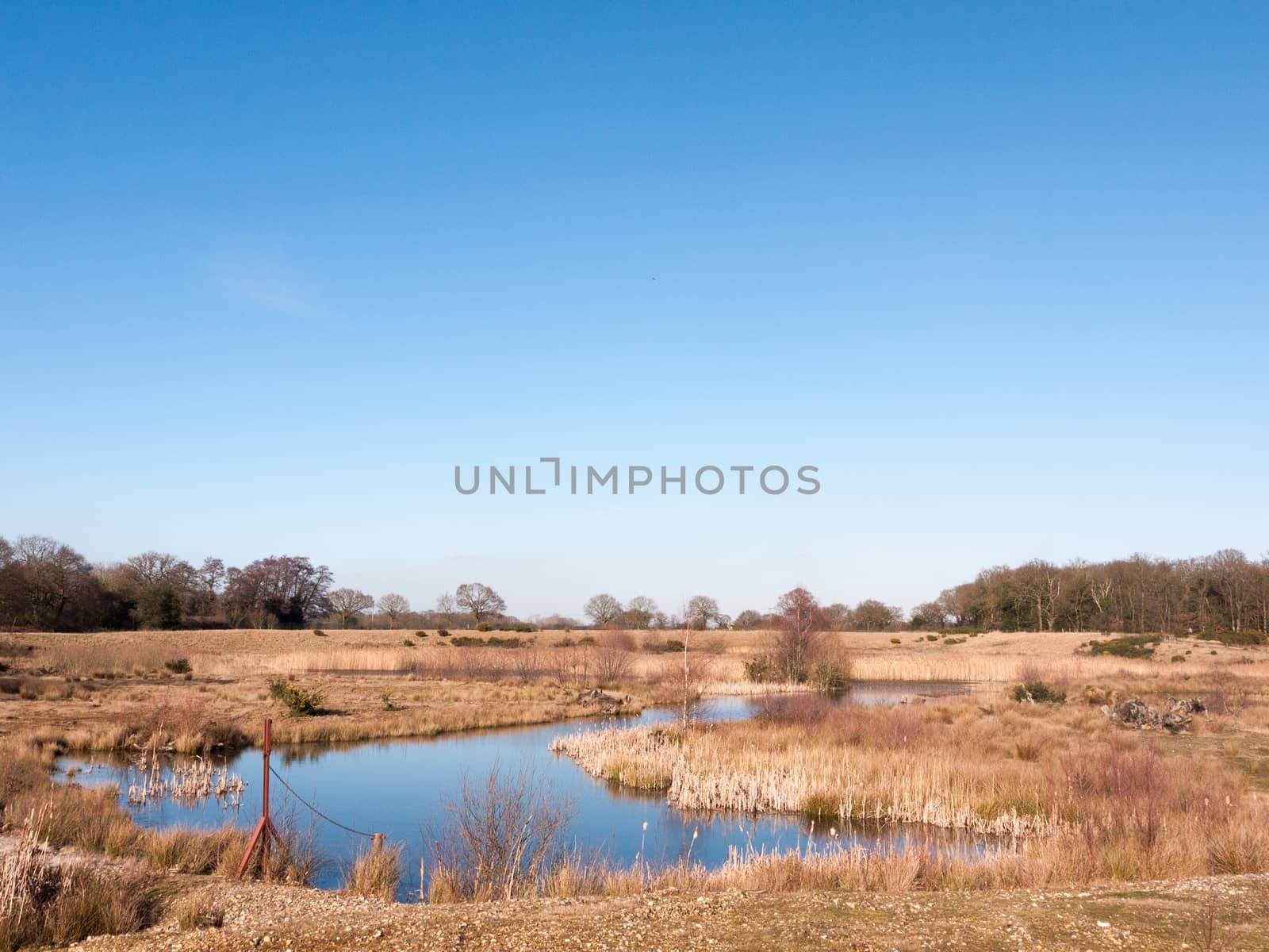 open summer day golden grass land nature reserve lake pond by callumrc