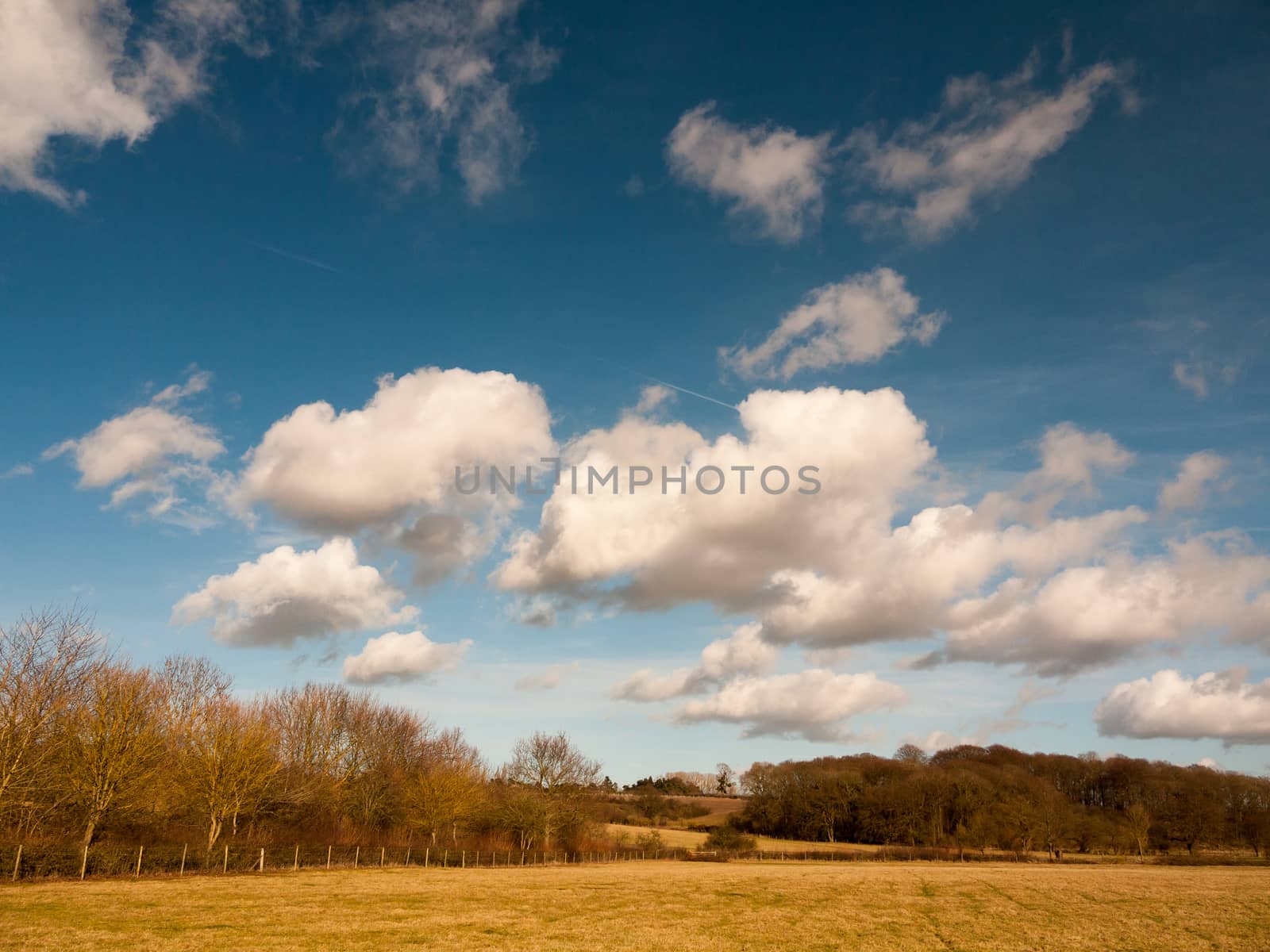 farm field agriculture bright blue with clouds countryside landscape nature; essex; england; uk