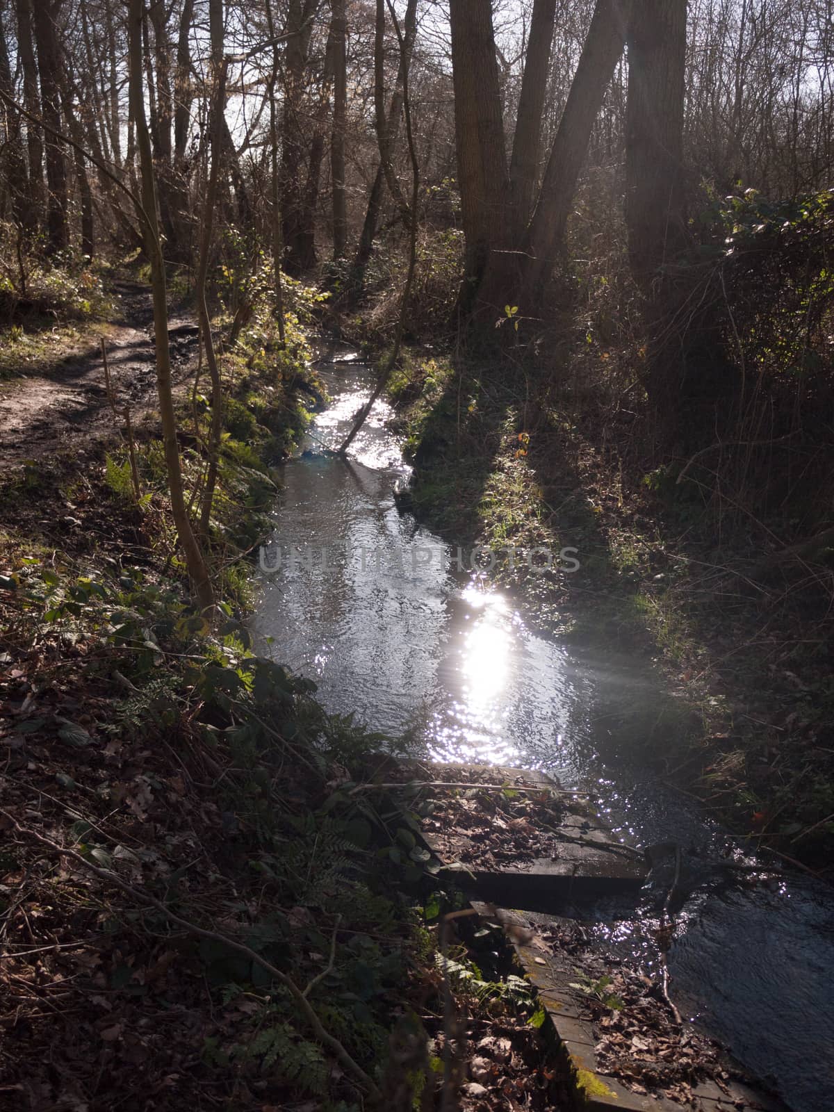 close up of running stream water through forest floor spring nature; essex; england; uk